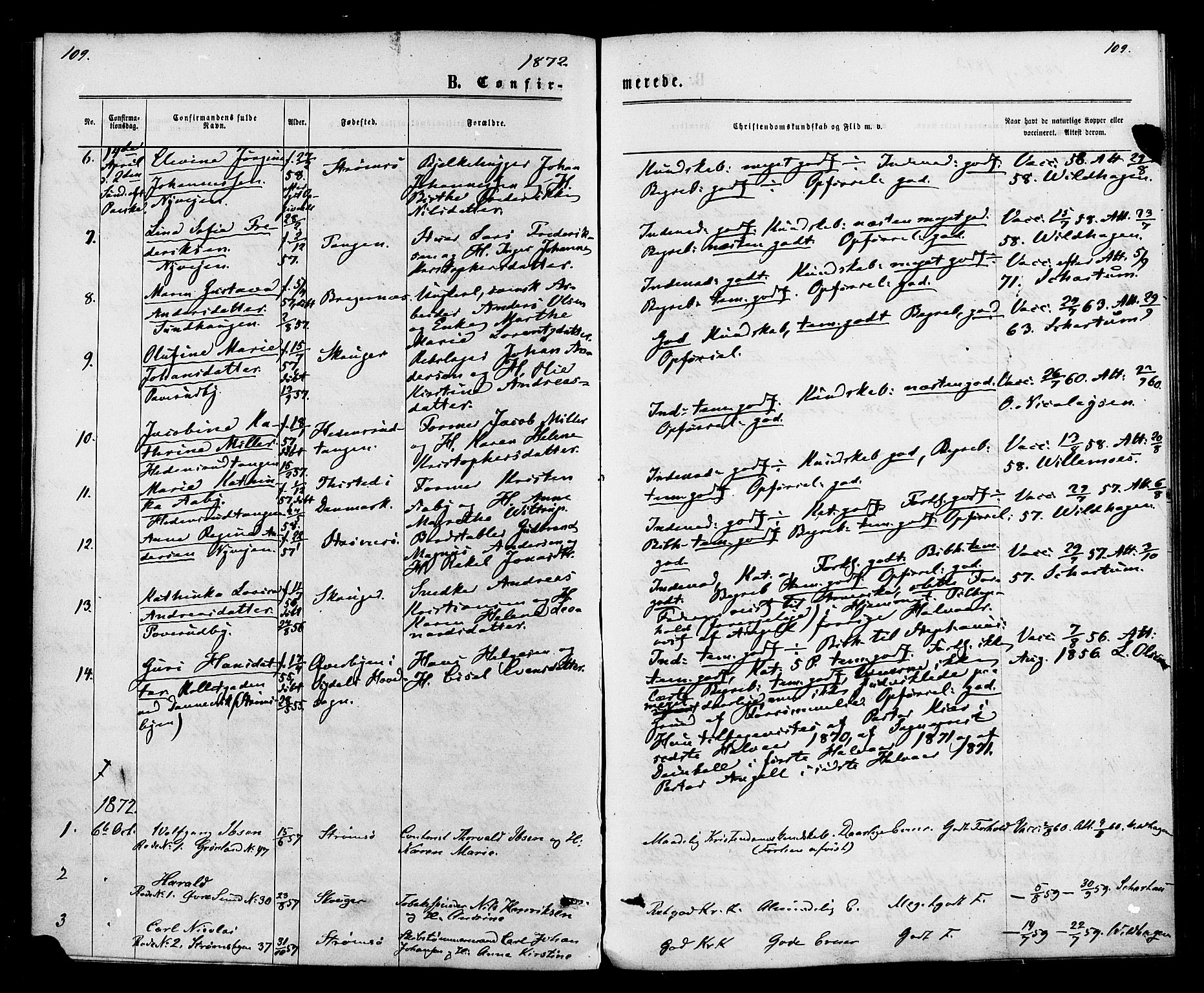 Strømsø kirkebøker, AV/SAKO-A-246/F/Fa/L0020: Parish register (official) no. I 20, 1870-1878, p. 109