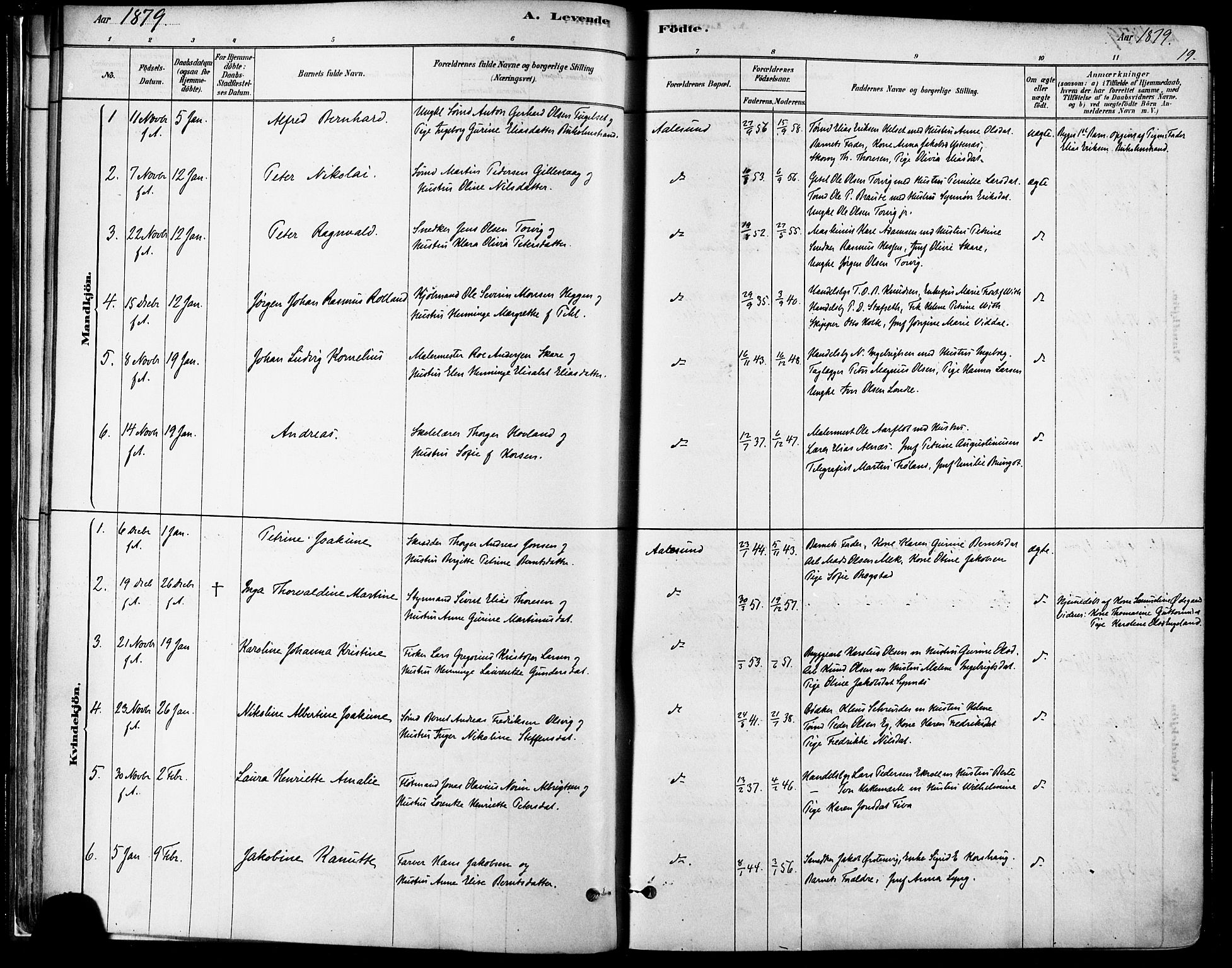 Ministerialprotokoller, klokkerbøker og fødselsregistre - Møre og Romsdal, SAT/A-1454/529/L0454: Parish register (official) no. 529A04, 1878-1885, p. 19