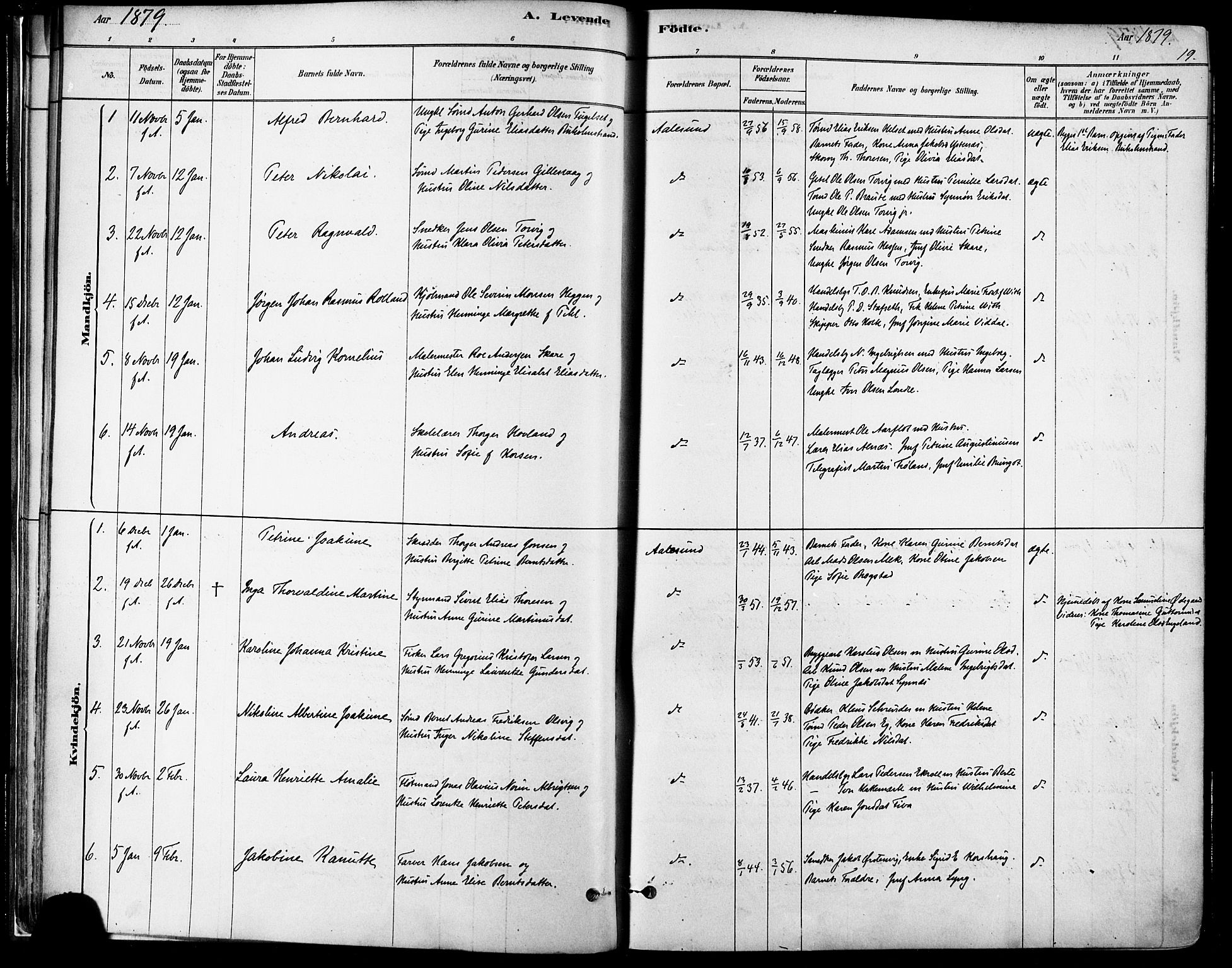 Ministerialprotokoller, klokkerbøker og fødselsregistre - Møre og Romsdal, AV/SAT-A-1454/529/L0454: Parish register (official) no. 529A04, 1878-1885, p. 19