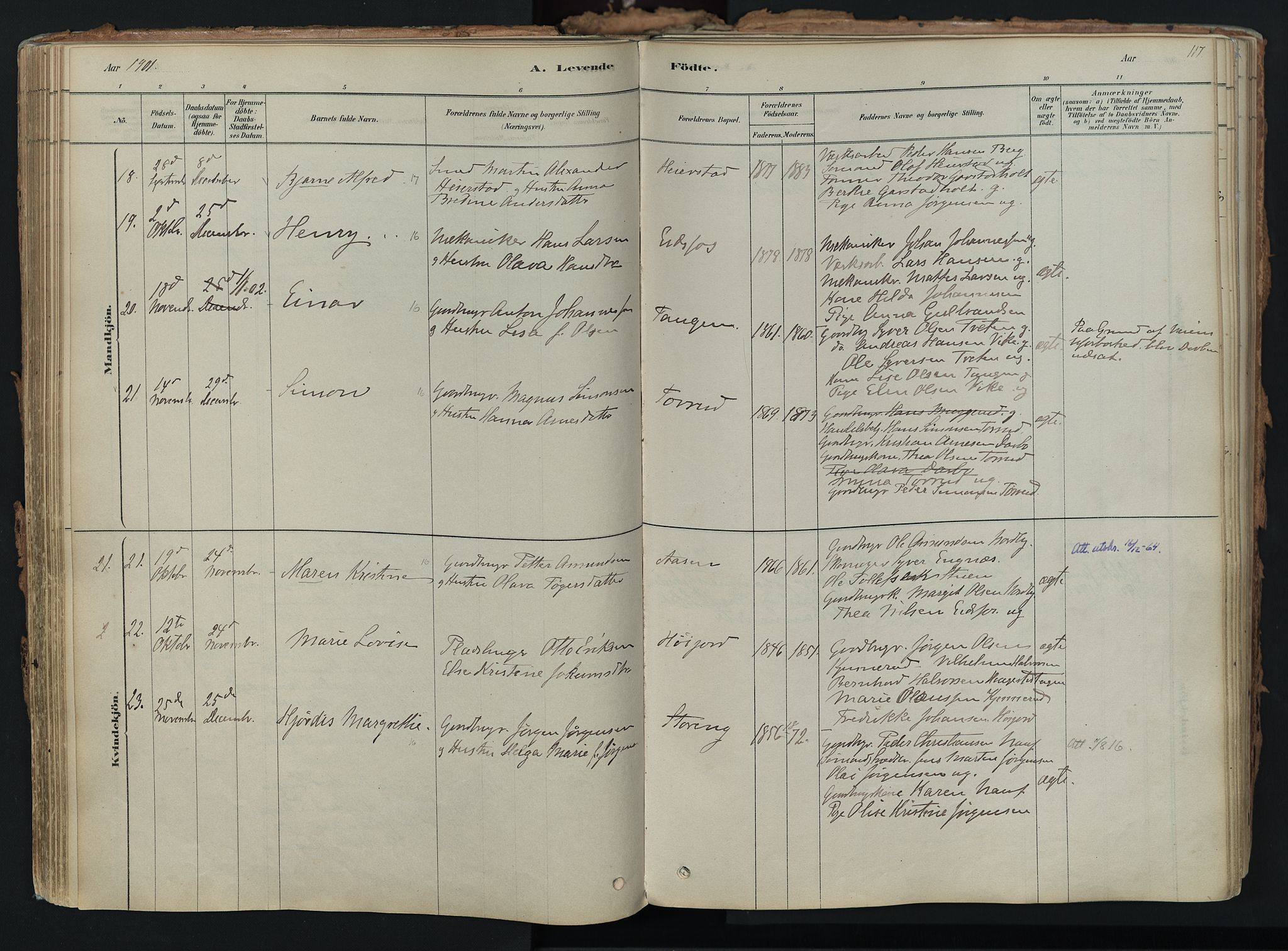 Hof kirkebøker, AV/SAKO-A-64/F/Fa/L0007: Parish register (official) no. I 7, 1878-1940, p. 117