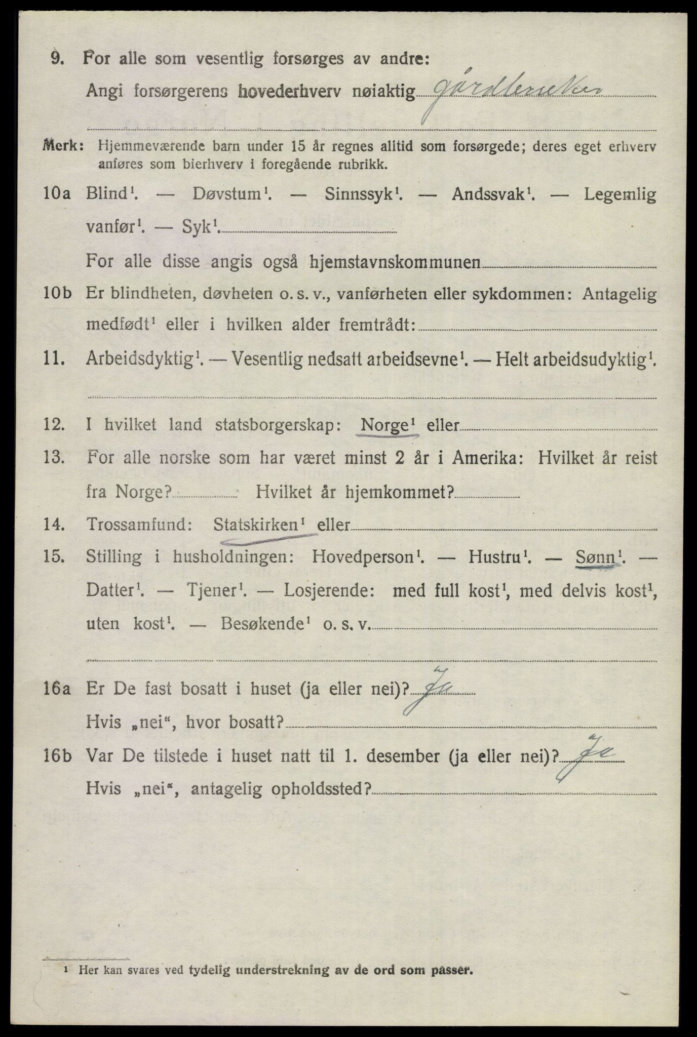 SAKO, 1920 census for Nes (Buskerud), 1920, p. 1631