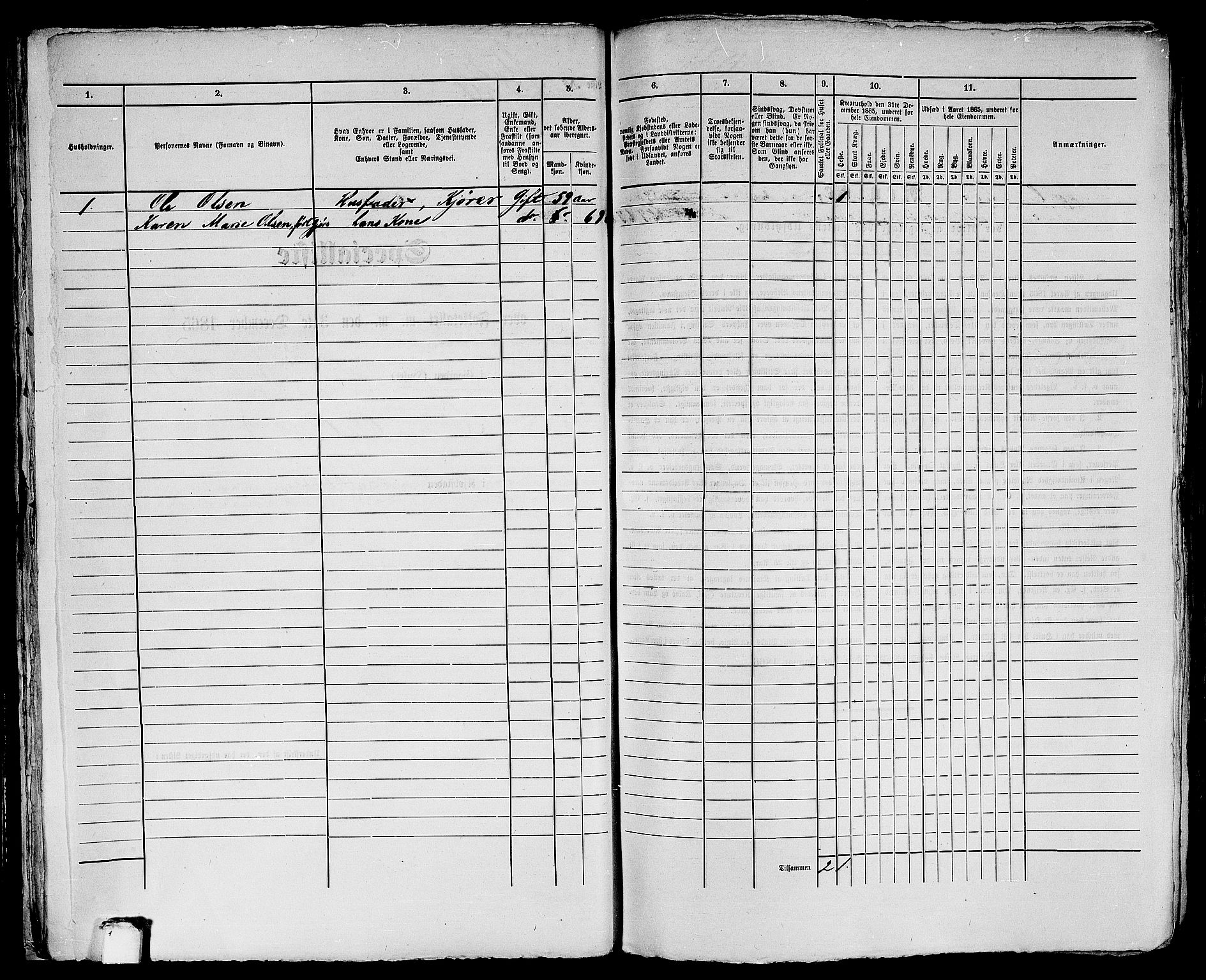 RA, 1865 census for Bergen, 1865, p. 3113