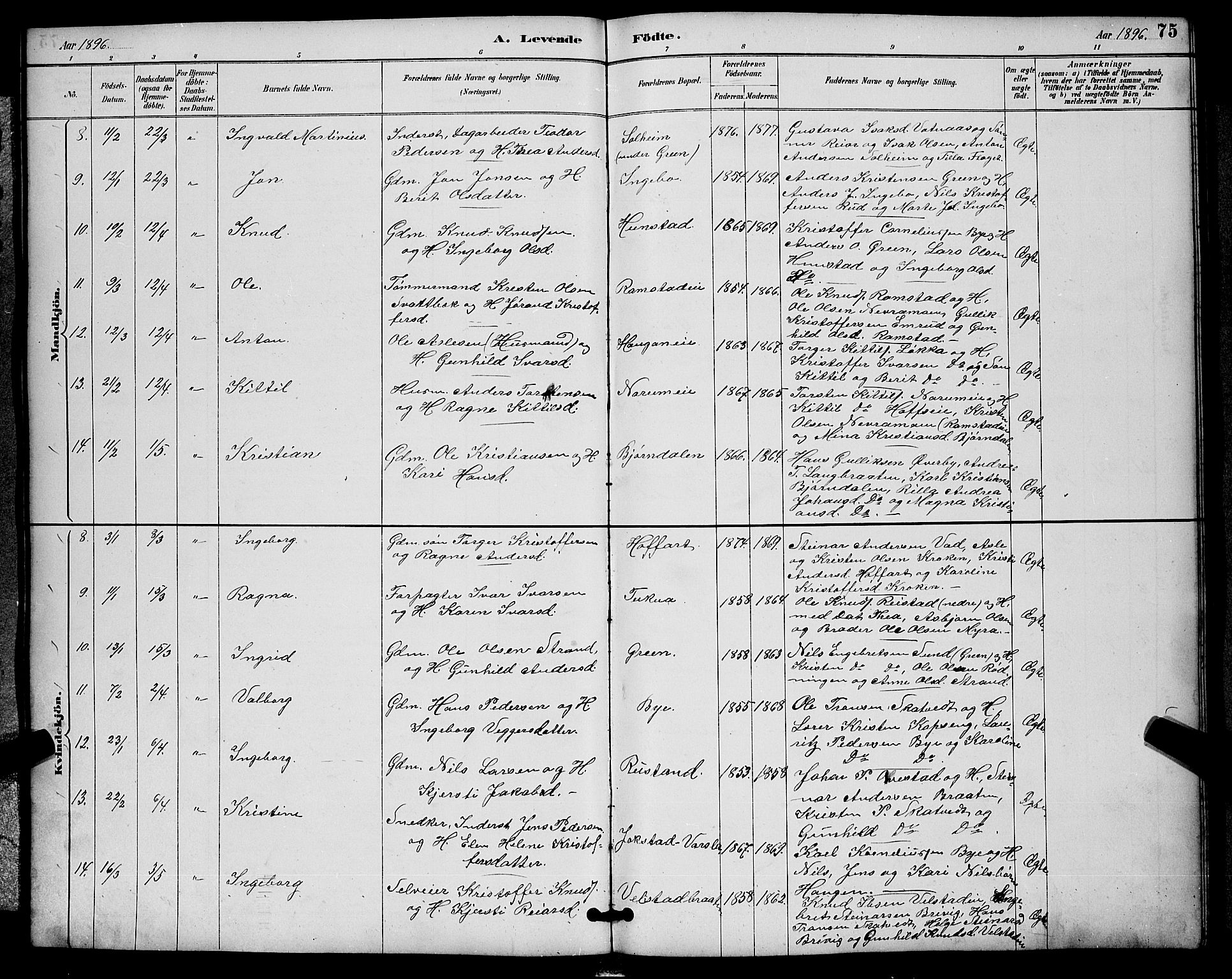 Sigdal kirkebøker, AV/SAKO-A-245/G/Ga/L0005: Parish register (copy) no. I 5, 1886-1900, p. 75