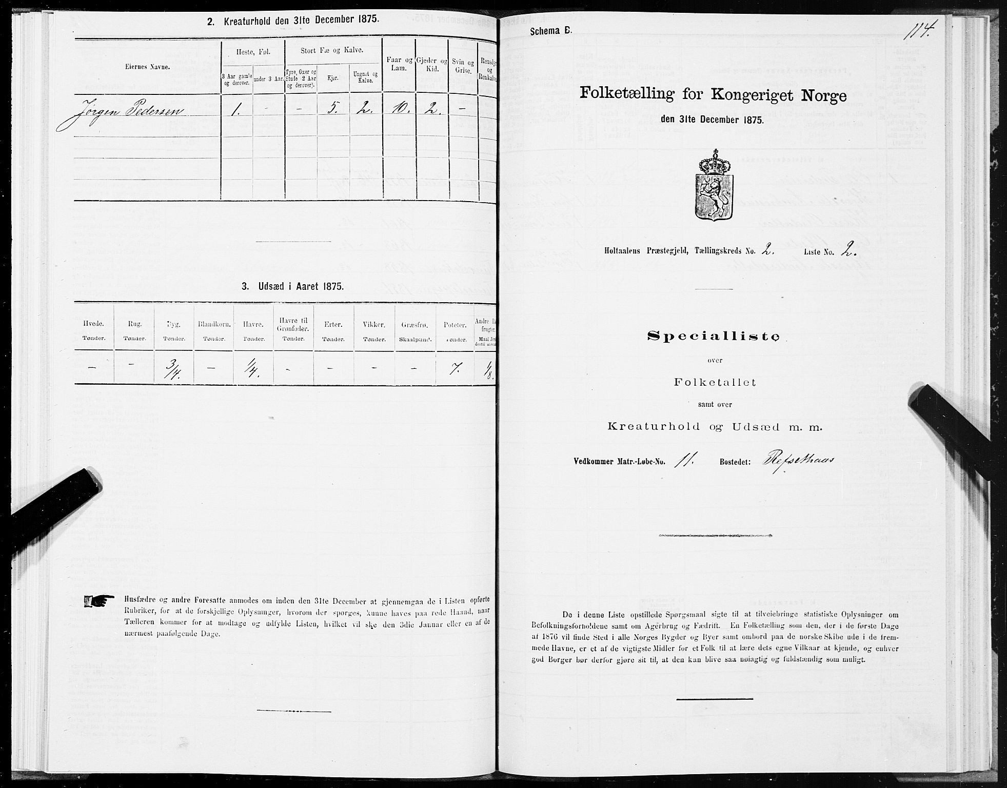 SAT, 1875 census for 1645P Haltdalen, 1875, p. 2114