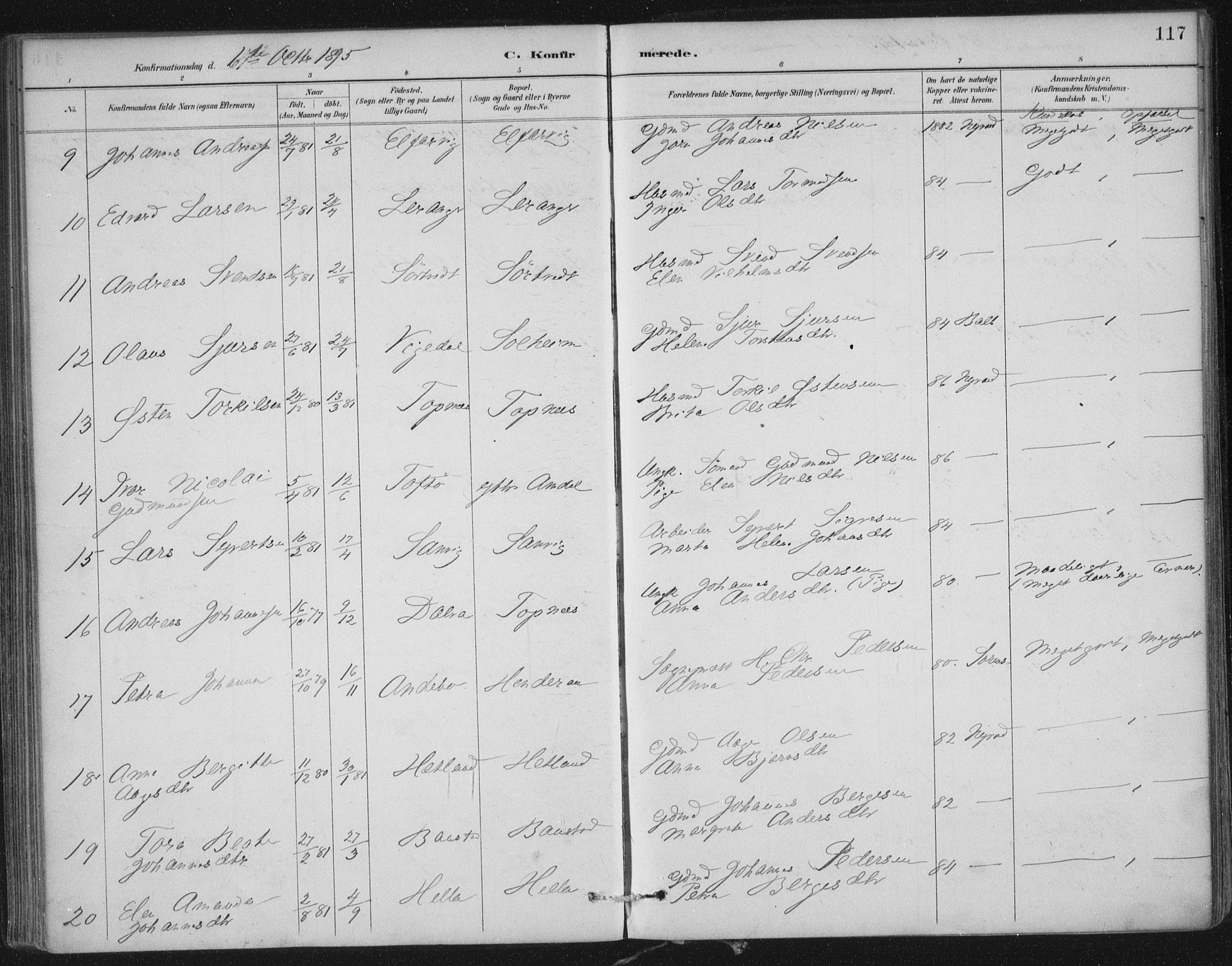 Nedstrand sokneprestkontor, AV/SAST-A-101841/01/IV: Parish register (official) no. A 12, 1887-1915, p. 117