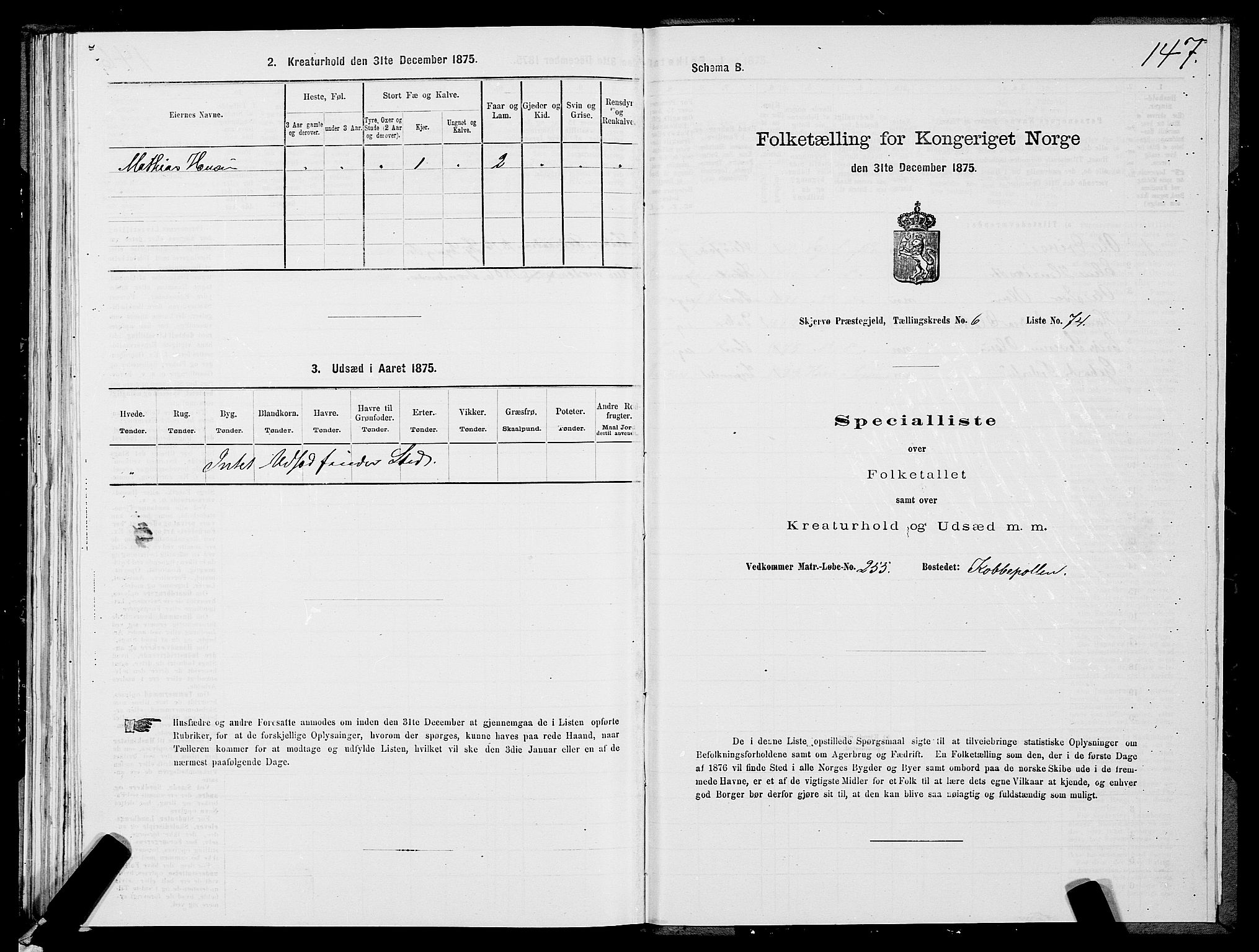 SATØ, 1875 census for 1941P Skjervøy, 1875, p. 5147