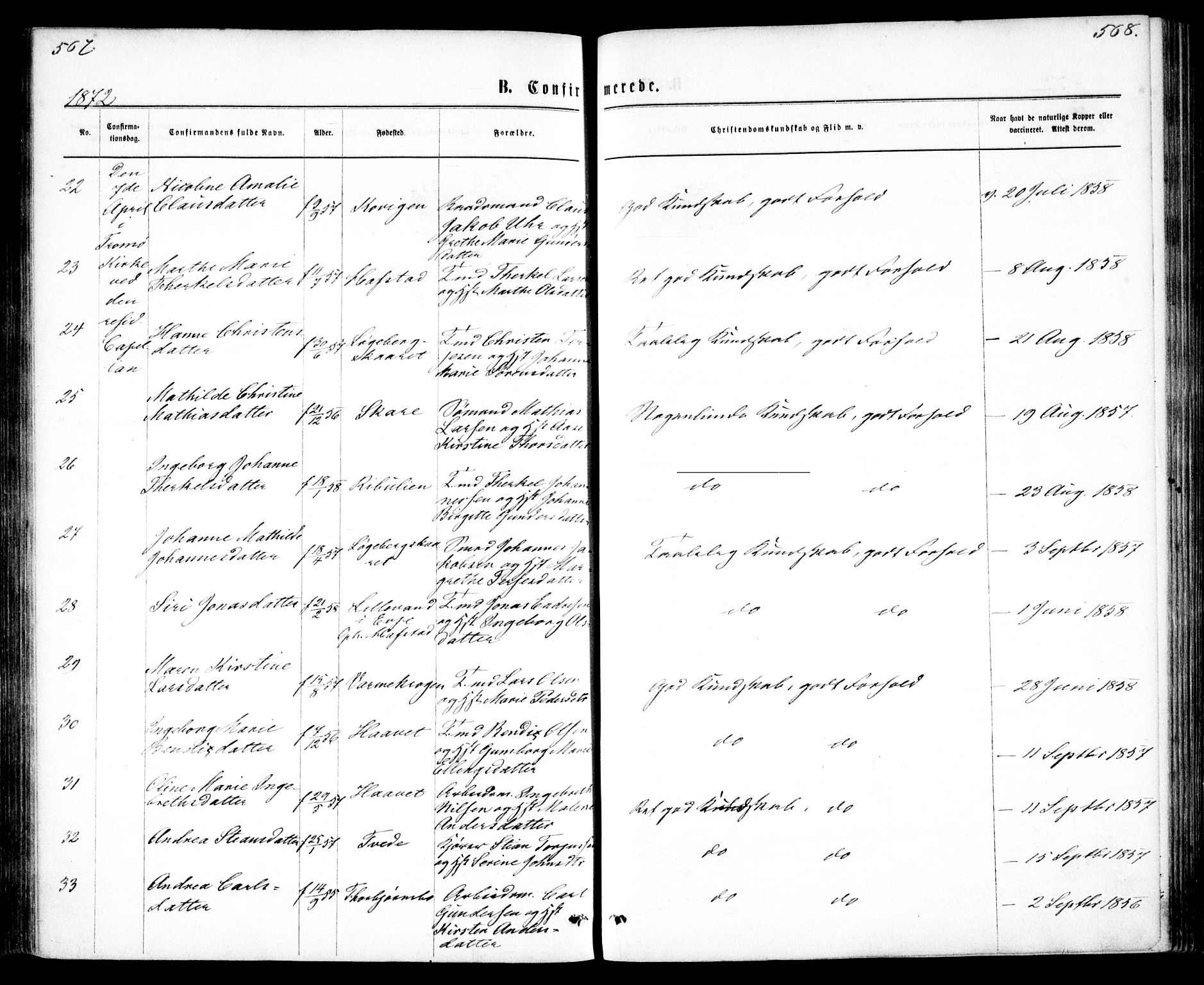 Tromøy sokneprestkontor, AV/SAK-1111-0041/F/Fa/L0008: Parish register (official) no. A 8, 1870-1877, p. 567-568