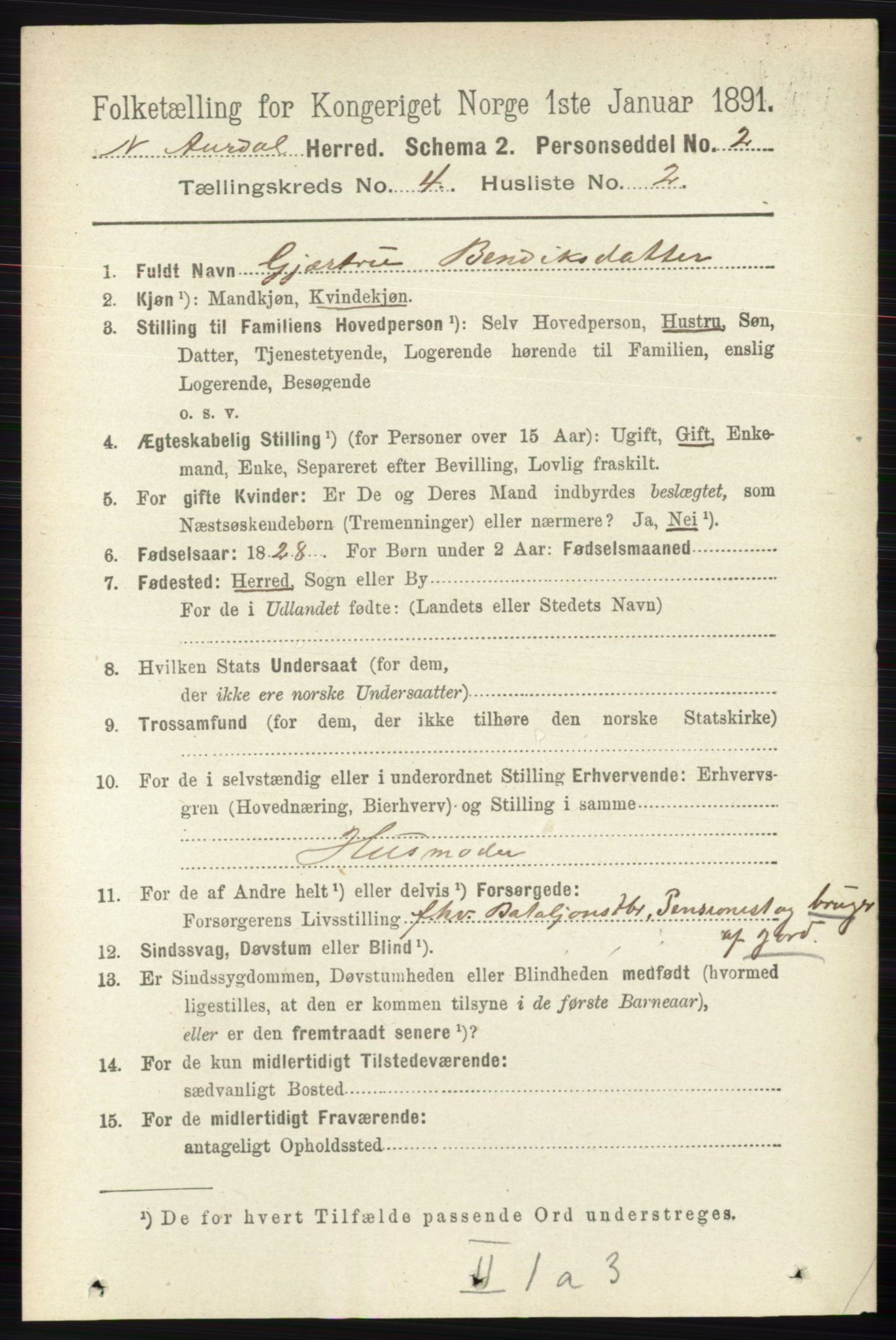 RA, 1891 census for 0542 Nord-Aurdal, 1891, p. 1171