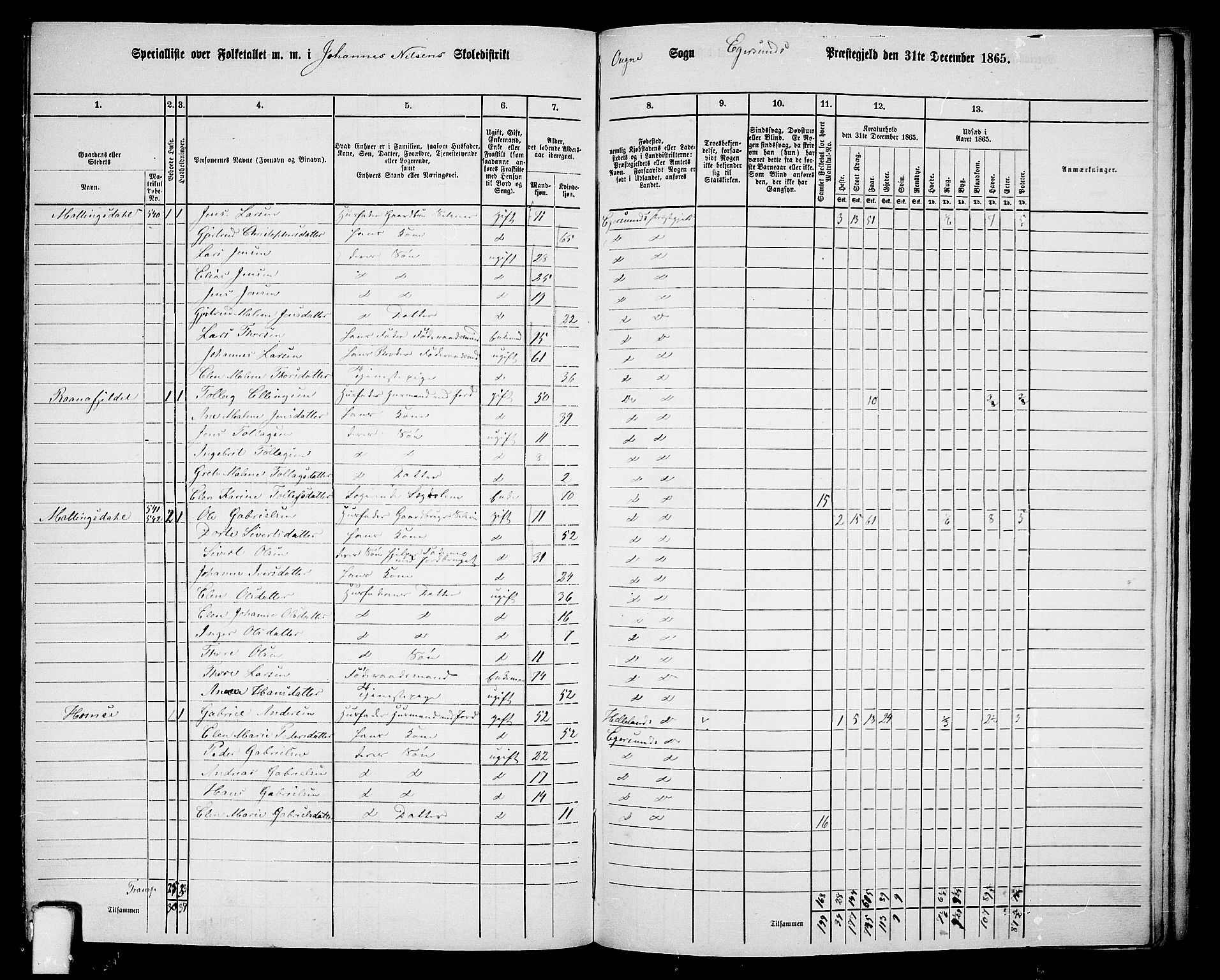 RA, 1865 census for Eigersund/Eigersund og Ogna, 1865, p. 137