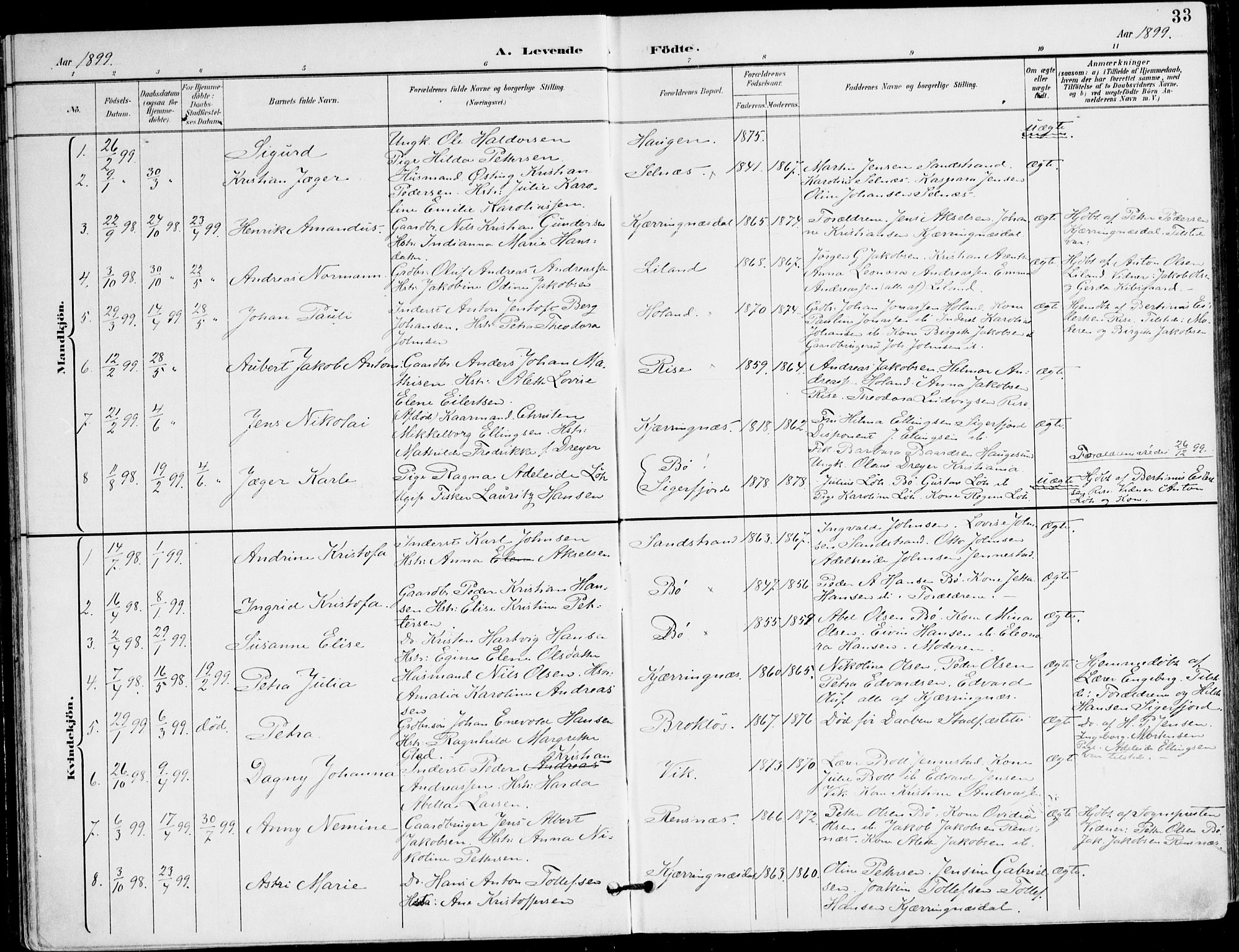 Ministerialprotokoller, klokkerbøker og fødselsregistre - Nordland, AV/SAT-A-1459/895/L1372: Parish register (official) no. 895A07, 1894-1914, p. 33