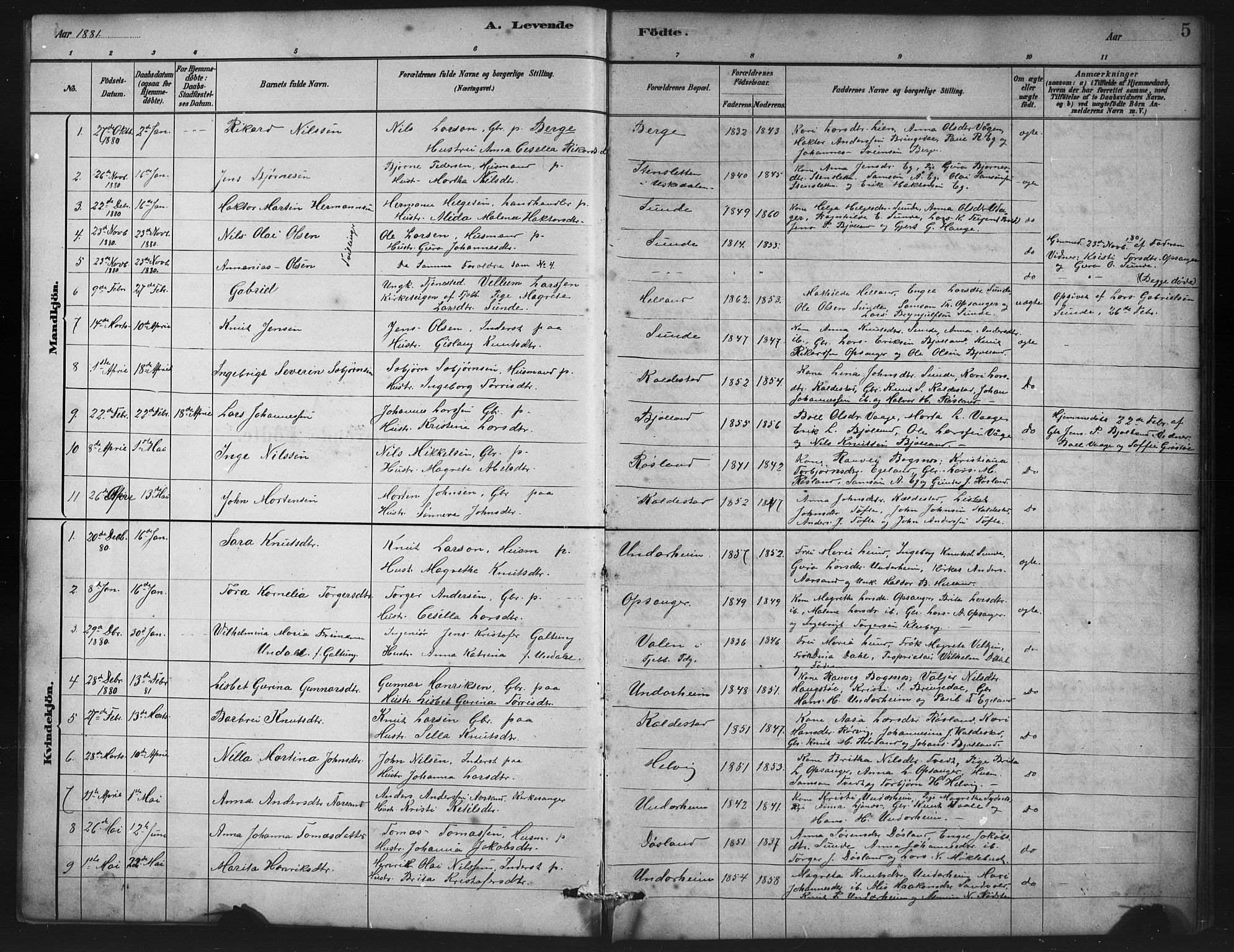 Husnes Sokneprestembete, AV/SAB-A-75901/H/Hab: Parish register (copy) no. A 2, 1881-1917, p. 5