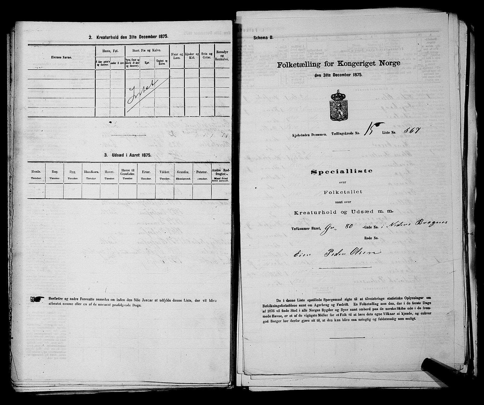 SAKO, 1875 census for 0602 Drammen, 1875, p. 1685