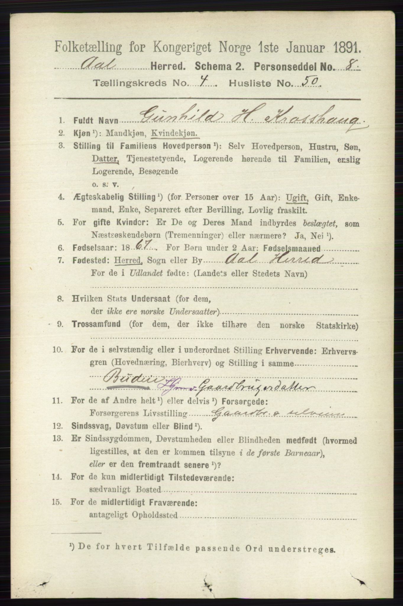 RA, 1891 census for 0619 Ål, 1891, p. 1328