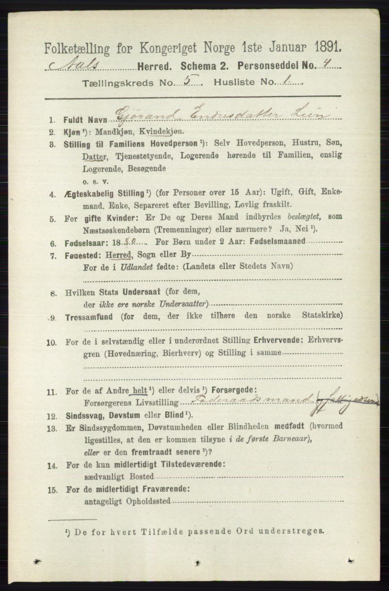 RA, 1891 census for 0619 Ål, 1891, p. 1364