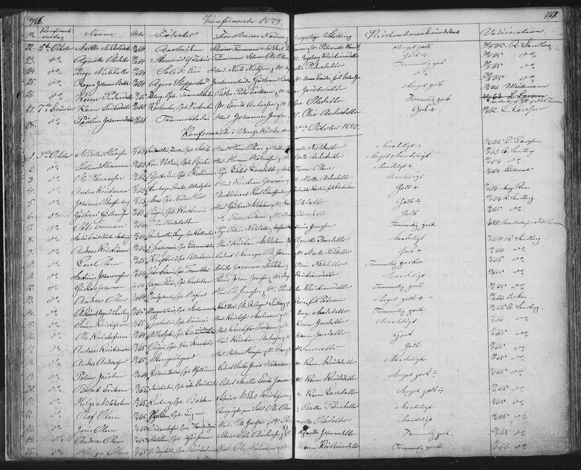 Vang prestekontor, Hedmark, SAH/PREST-008/H/Ha/Hab/L0010B: Parish register (copy) no. 10b, 1854-1896, p. 766-767