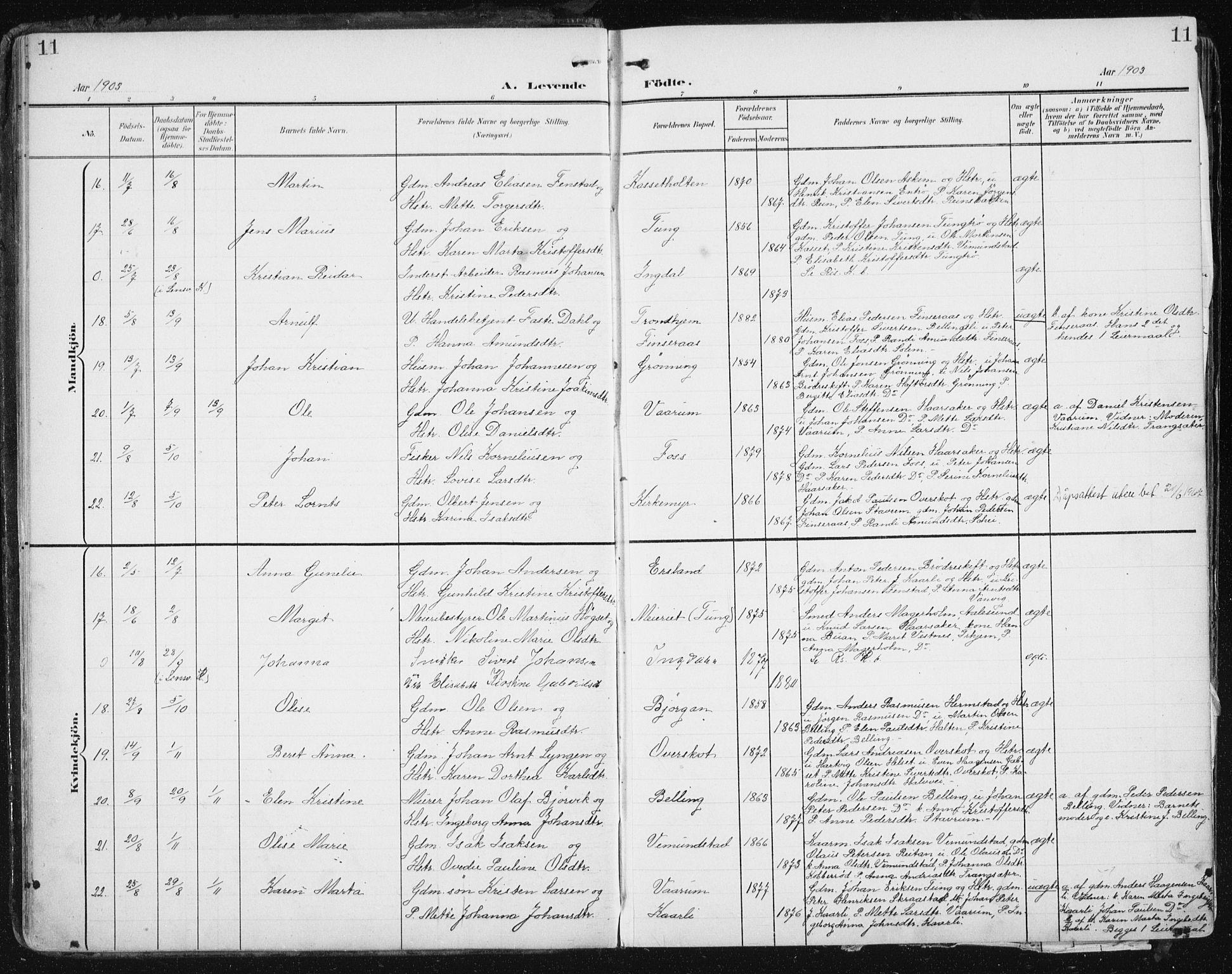 Ministerialprotokoller, klokkerbøker og fødselsregistre - Sør-Trøndelag, SAT/A-1456/646/L0616: Parish register (official) no. 646A14, 1900-1918, p. 11