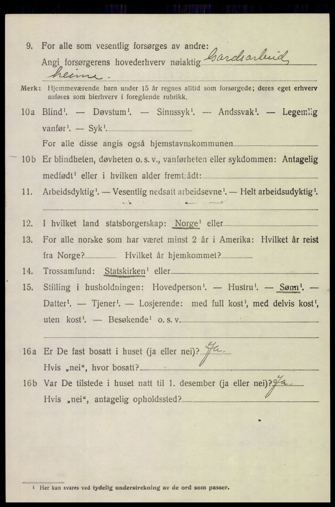 SAH, 1920 census for Vågå, 1920, p. 3941