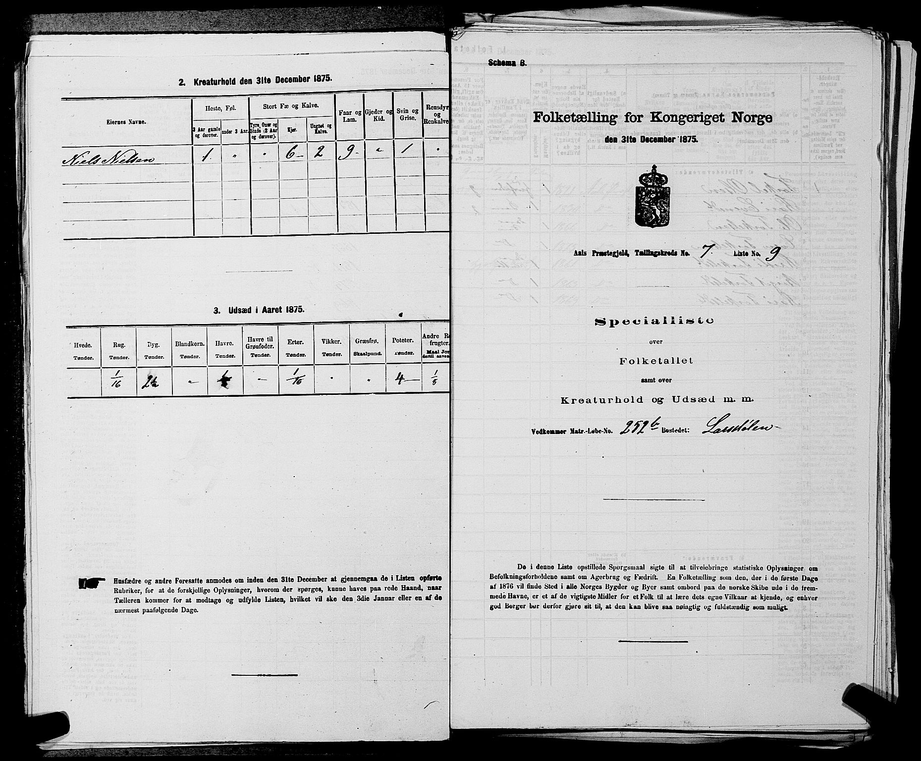SAKO, 1875 census for 0619P Ål, 1875, p. 852