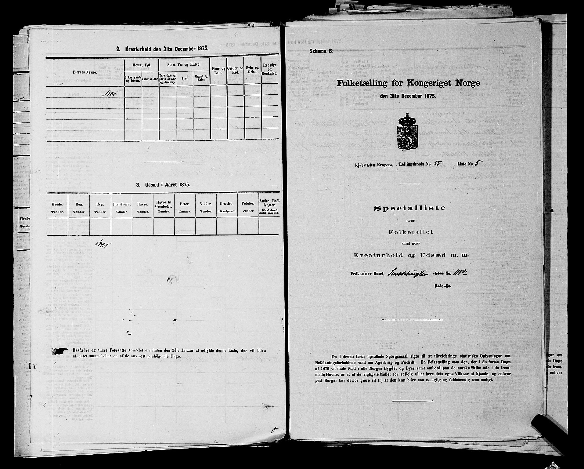 SAKO, 1875 census for 0801P Kragerø, 1875, p. 1217