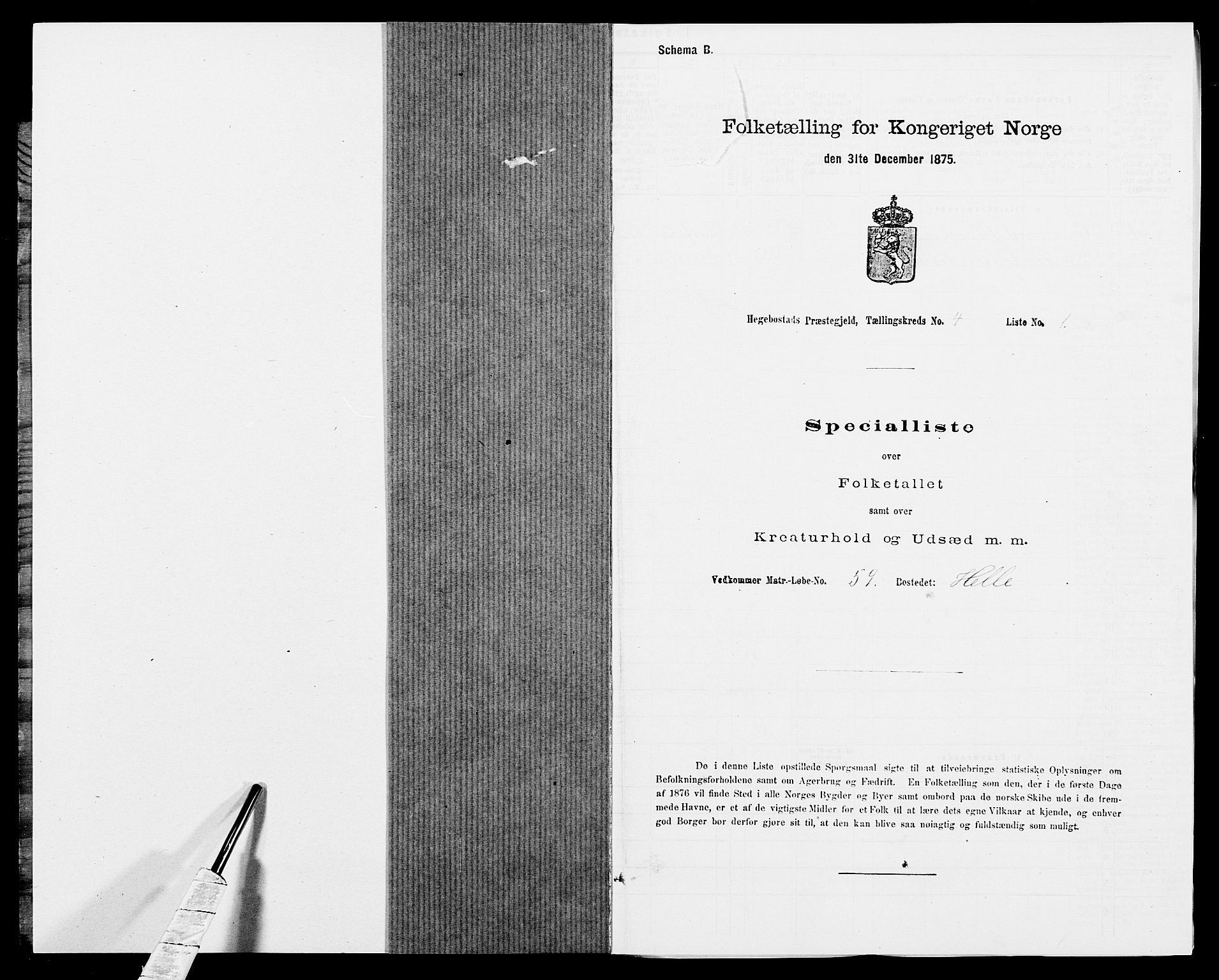 SAK, 1875 census for 1034P Hægebostad, 1875, p. 347