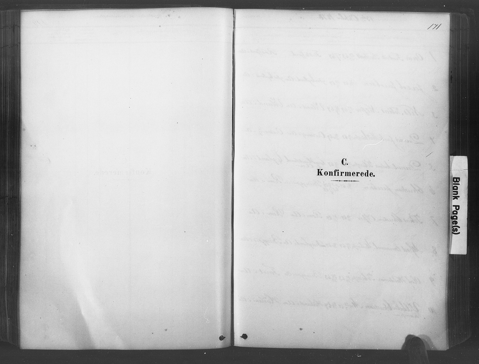 Lyngdal sokneprestkontor, SAK/1111-0029/F/Fa/Fac/L0011: Parish register (official) no. A 11, 1878-1893, p. 171