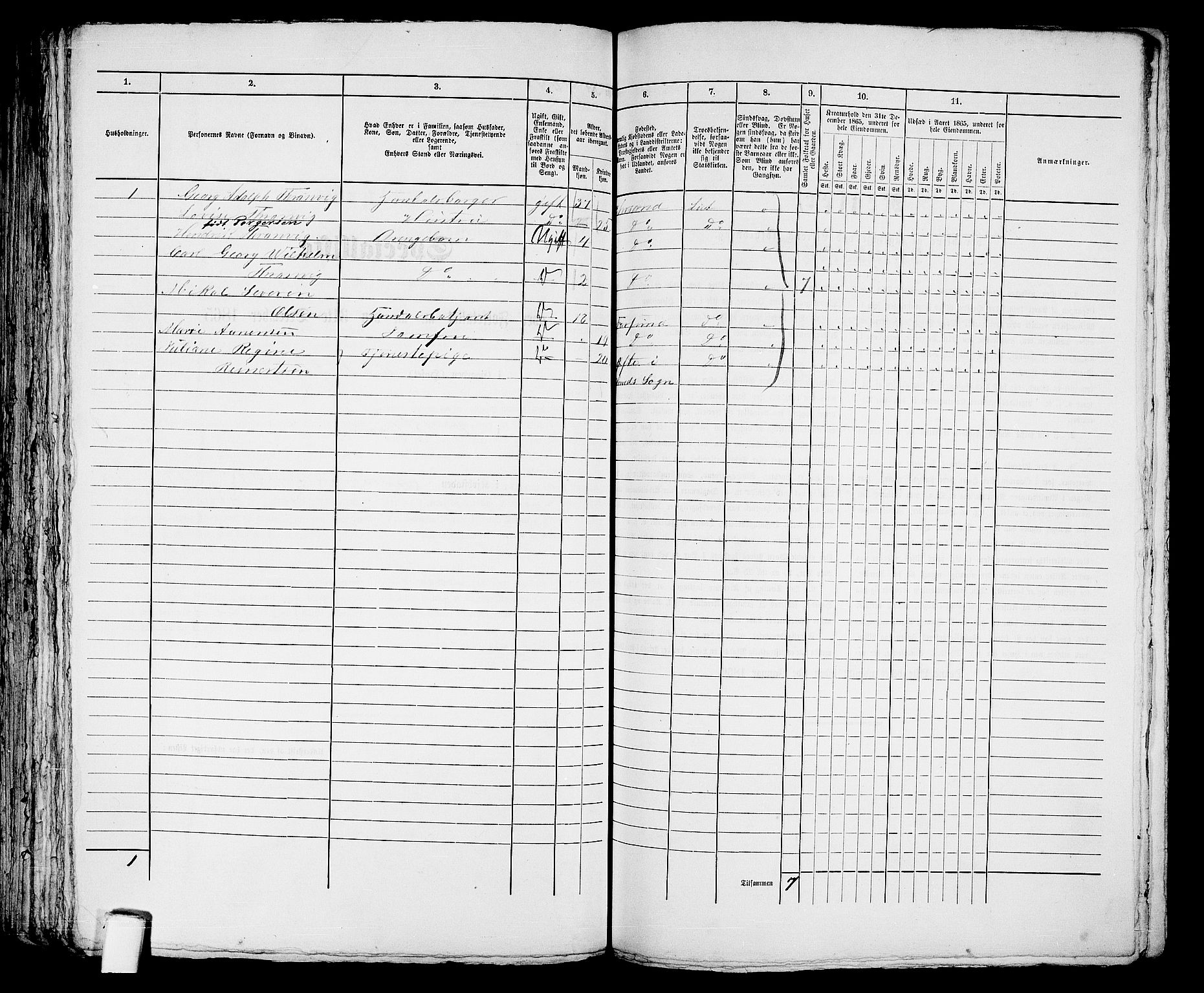 RA, 1865 census for Kristiansand, 1865, p. 1848