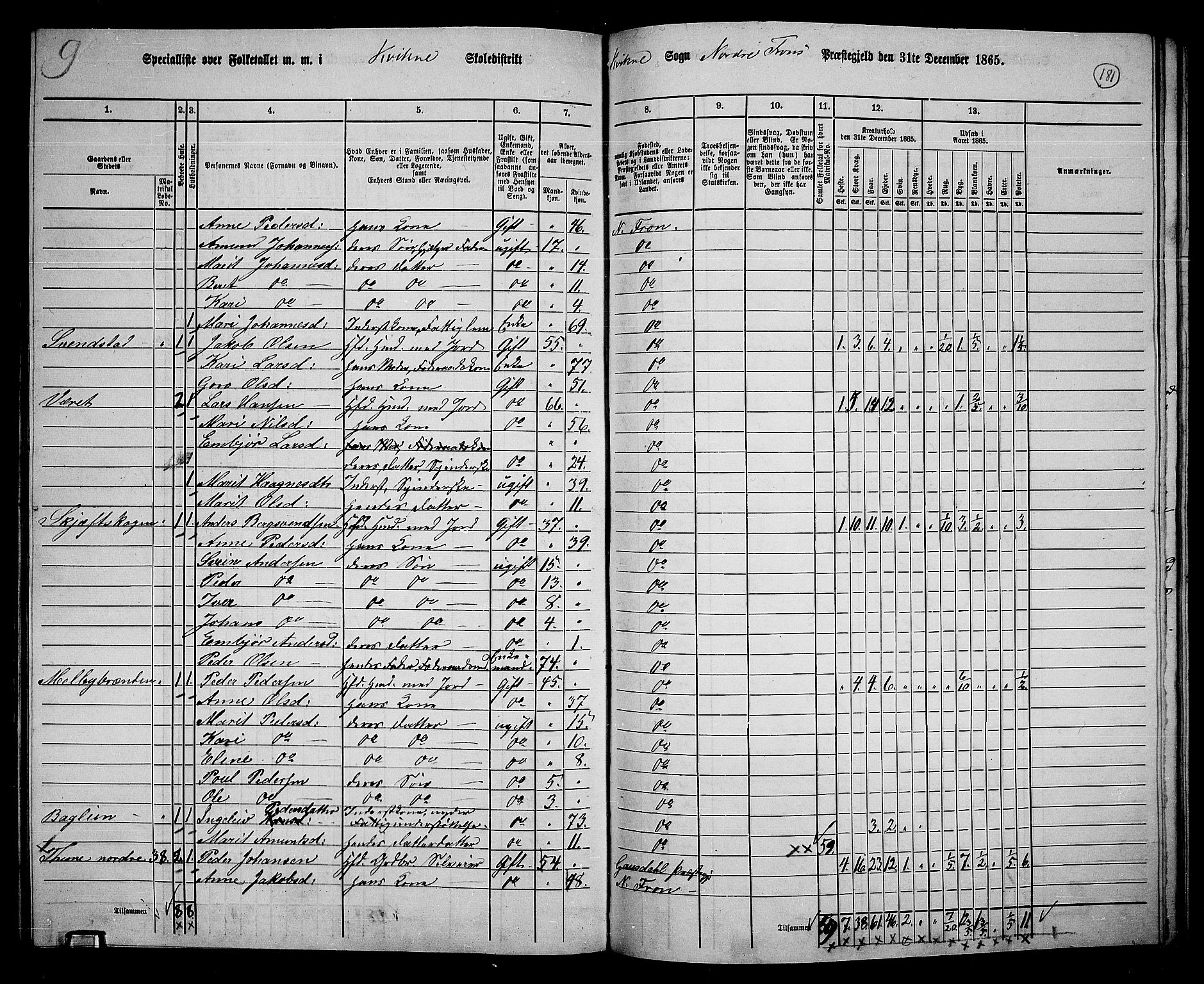 RA, 1865 census for Nord-Fron, 1865, p. 166