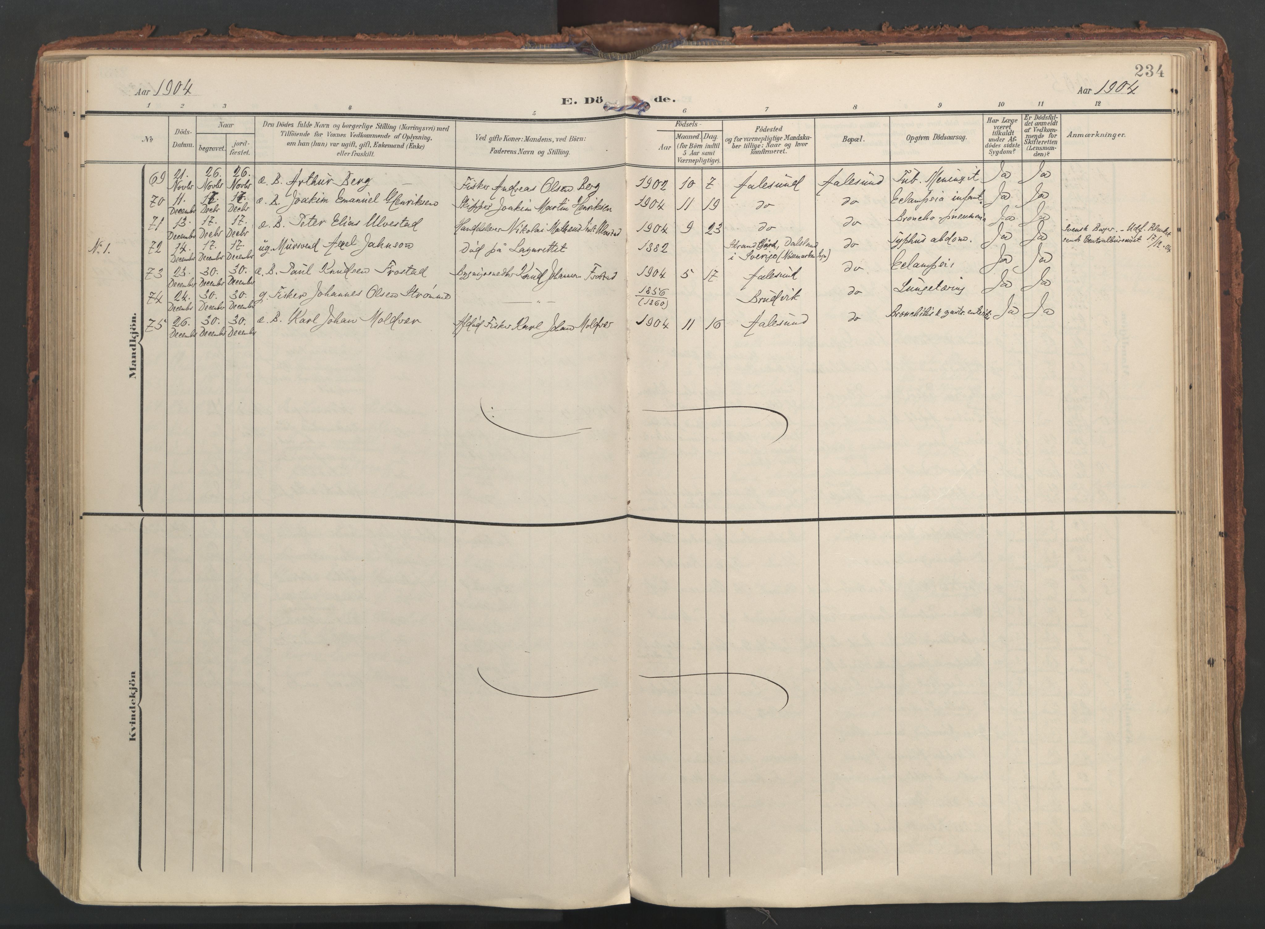 Ministerialprotokoller, klokkerbøker og fødselsregistre - Møre og Romsdal, AV/SAT-A-1454/529/L0459: Parish register (official) no. 529A09, 1904-1917, p. 234