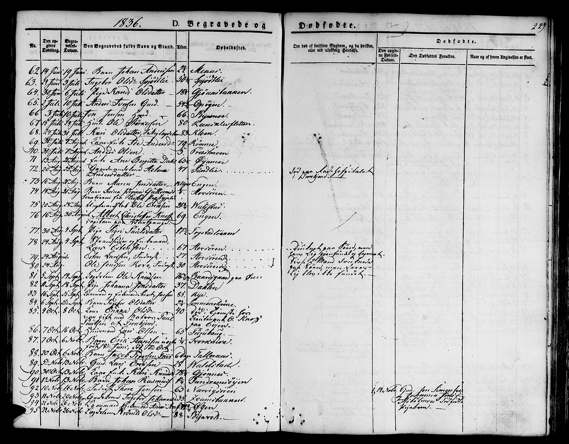 Ministerialprotokoller, klokkerbøker og fødselsregistre - Sør-Trøndelag, SAT/A-1456/668/L0804: Parish register (official) no. 668A04, 1826-1839, p. 229