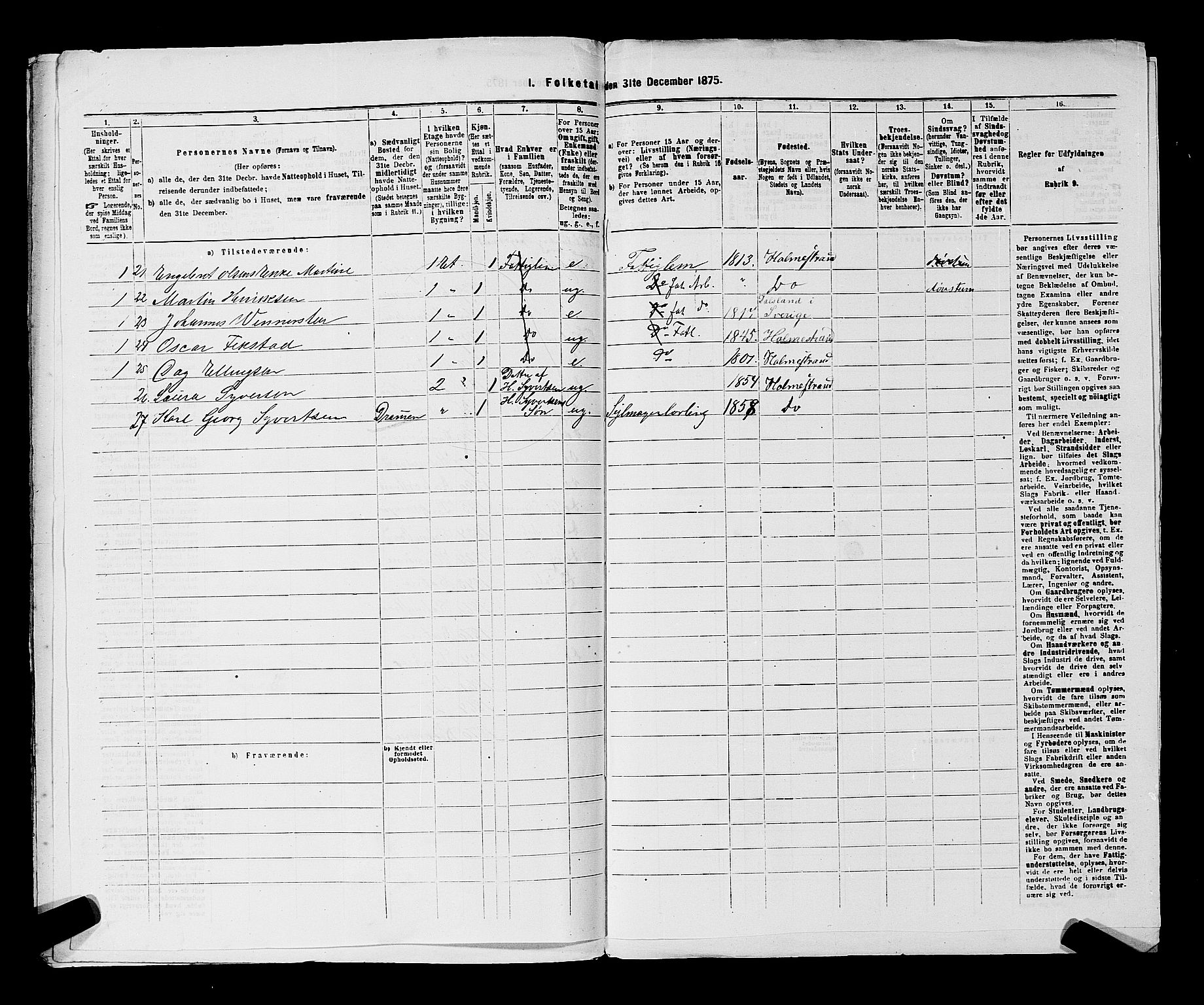 SAKO, 1875 census for 0702P Holmestrand, 1875, p. 238