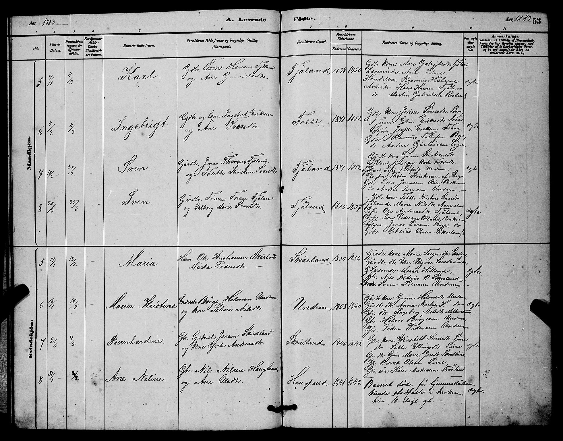 Lye sokneprestkontor, AV/SAST-A-101794/001/30BB/L0006: Parish register (copy) no. B 6, 1879-1888, p. 53