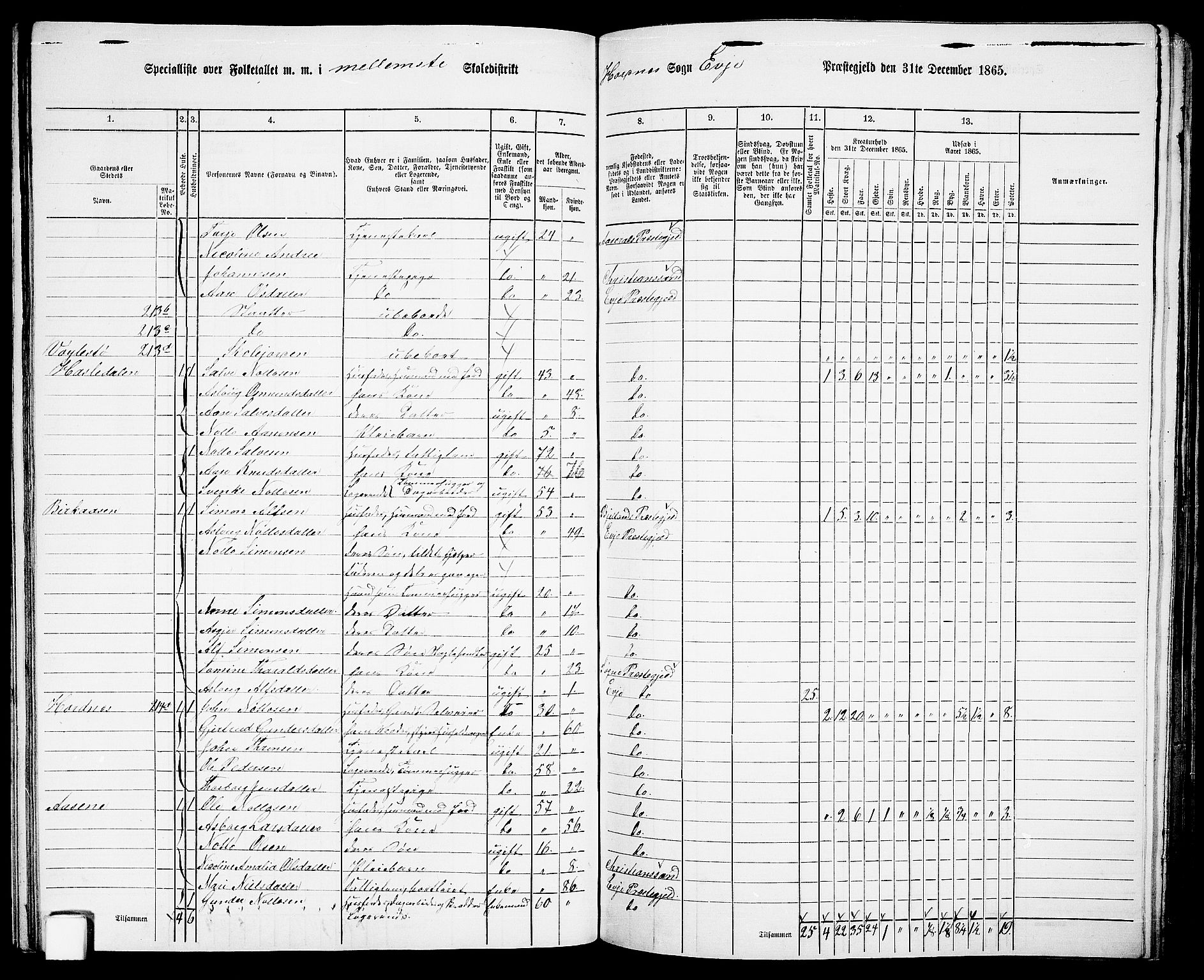 RA, 1865 census for Evje, 1865, p. 93