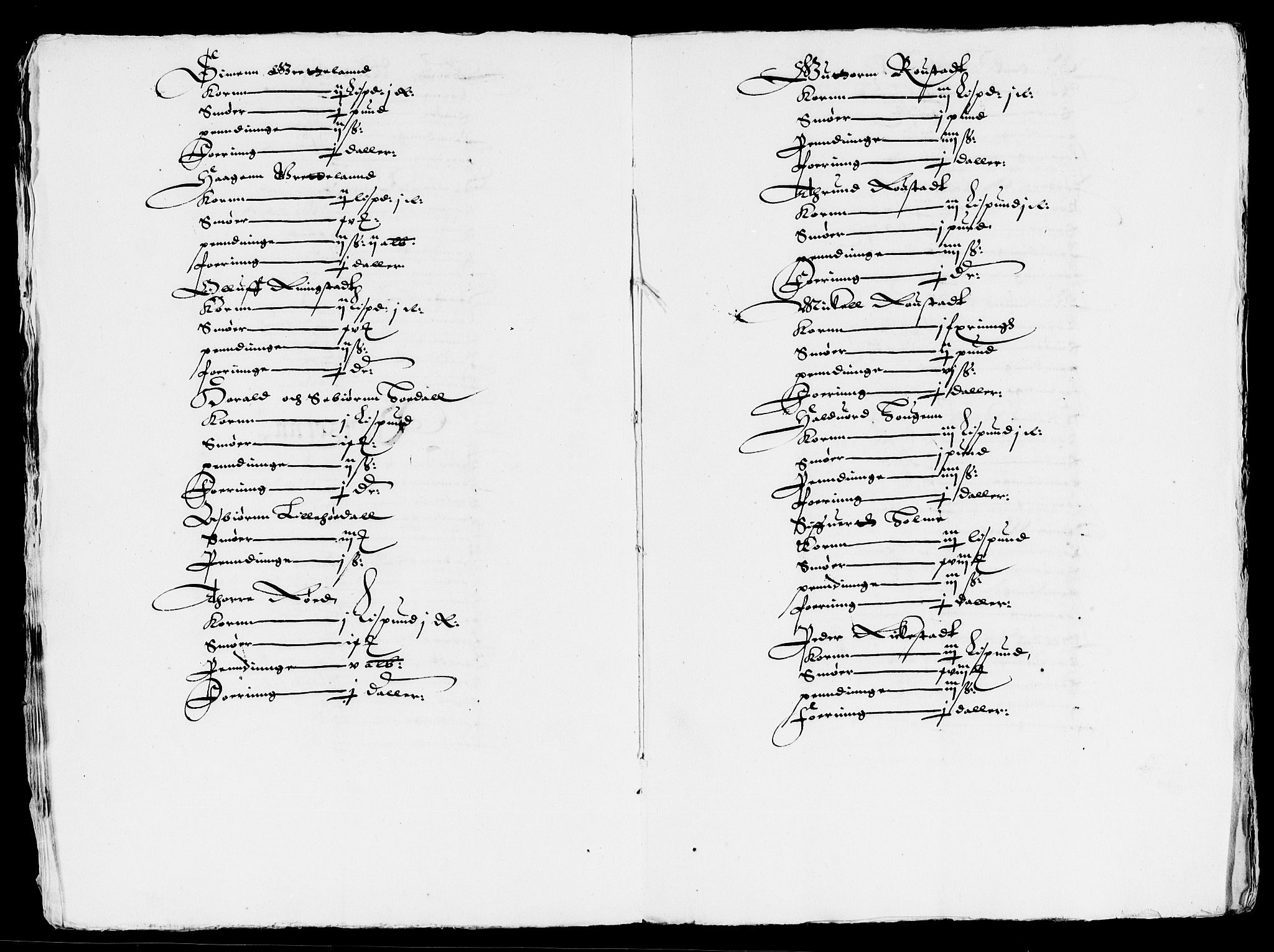 Rentekammeret inntil 1814, Reviderte regnskaper, Lensregnskaper, AV/RA-EA-5023/R/Rb/Rba/L0051: Akershus len, 1619-1620