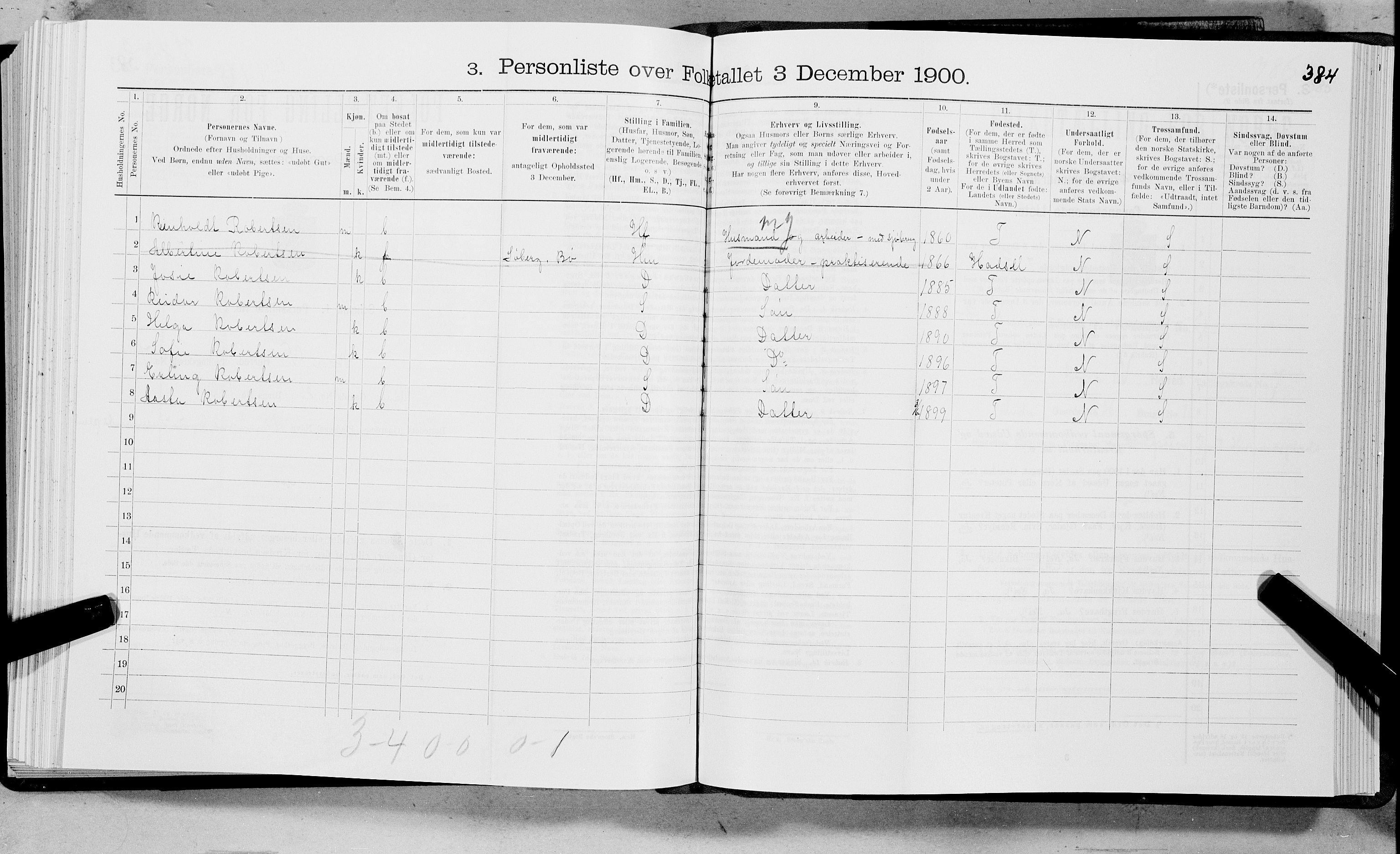 SAT, 1900 census for Bø, 1900, p. 795