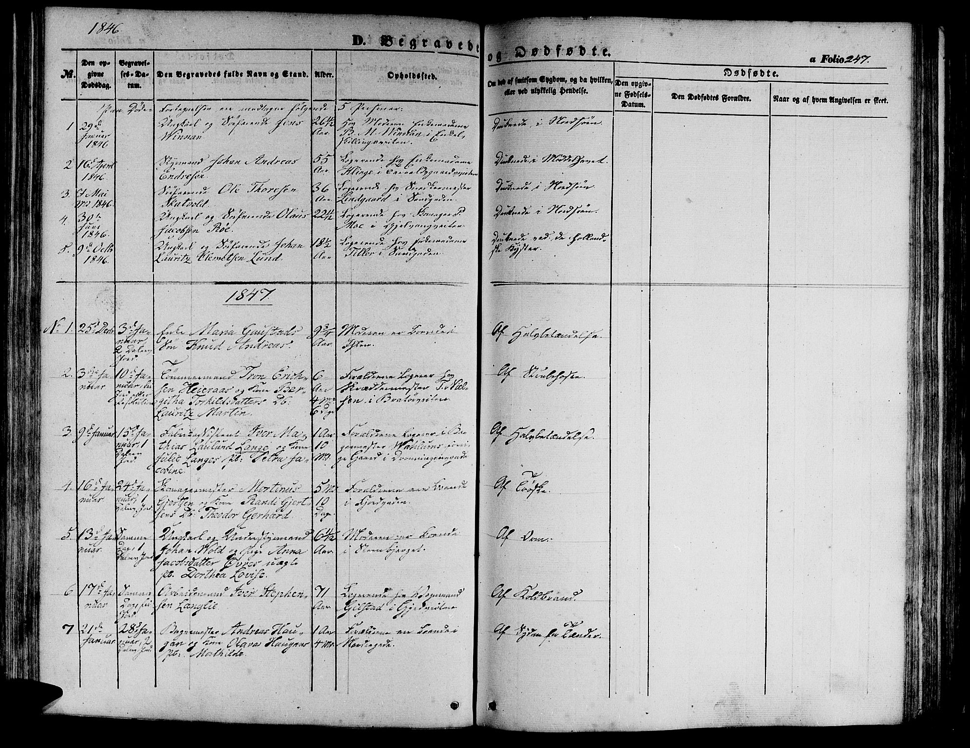 Ministerialprotokoller, klokkerbøker og fødselsregistre - Sør-Trøndelag, SAT/A-1456/602/L0137: Parish register (copy) no. 602C05, 1846-1856, p. 247