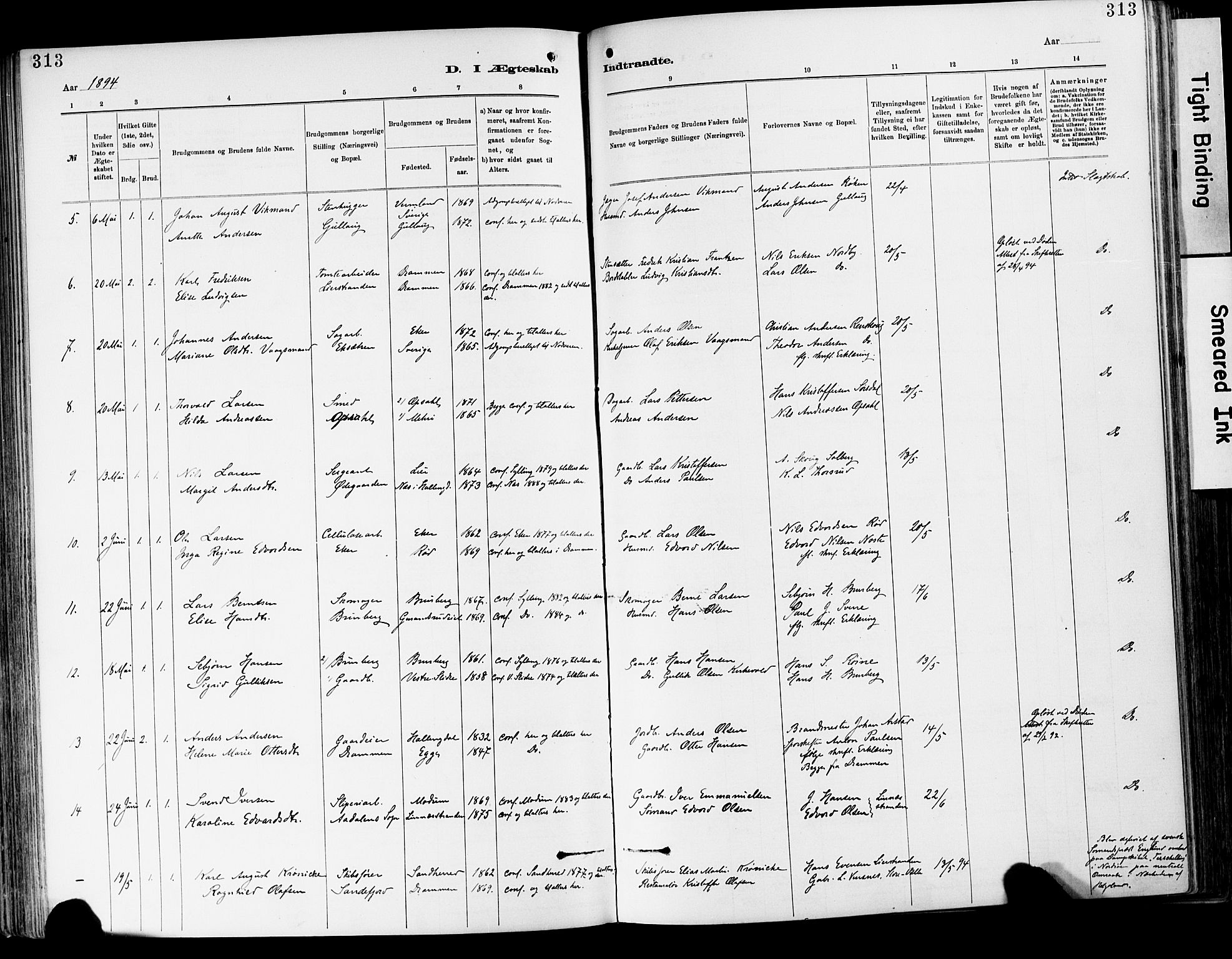 Lier kirkebøker, AV/SAKO-A-230/F/Fa/L0015: Parish register (official) no. I 15, 1883-1894, p. 313