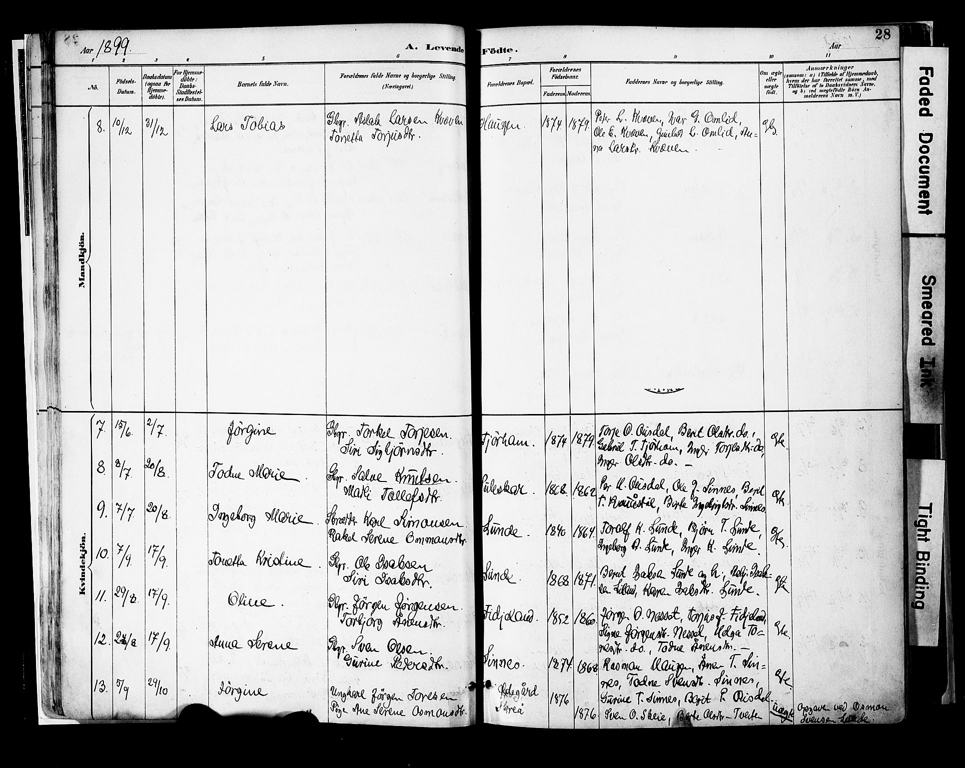 Sirdal sokneprestkontor, SAK/1111-0036/F/Fa/Faa/L0001: Parish register (official) no. A 1, 1887-1910, p. 28