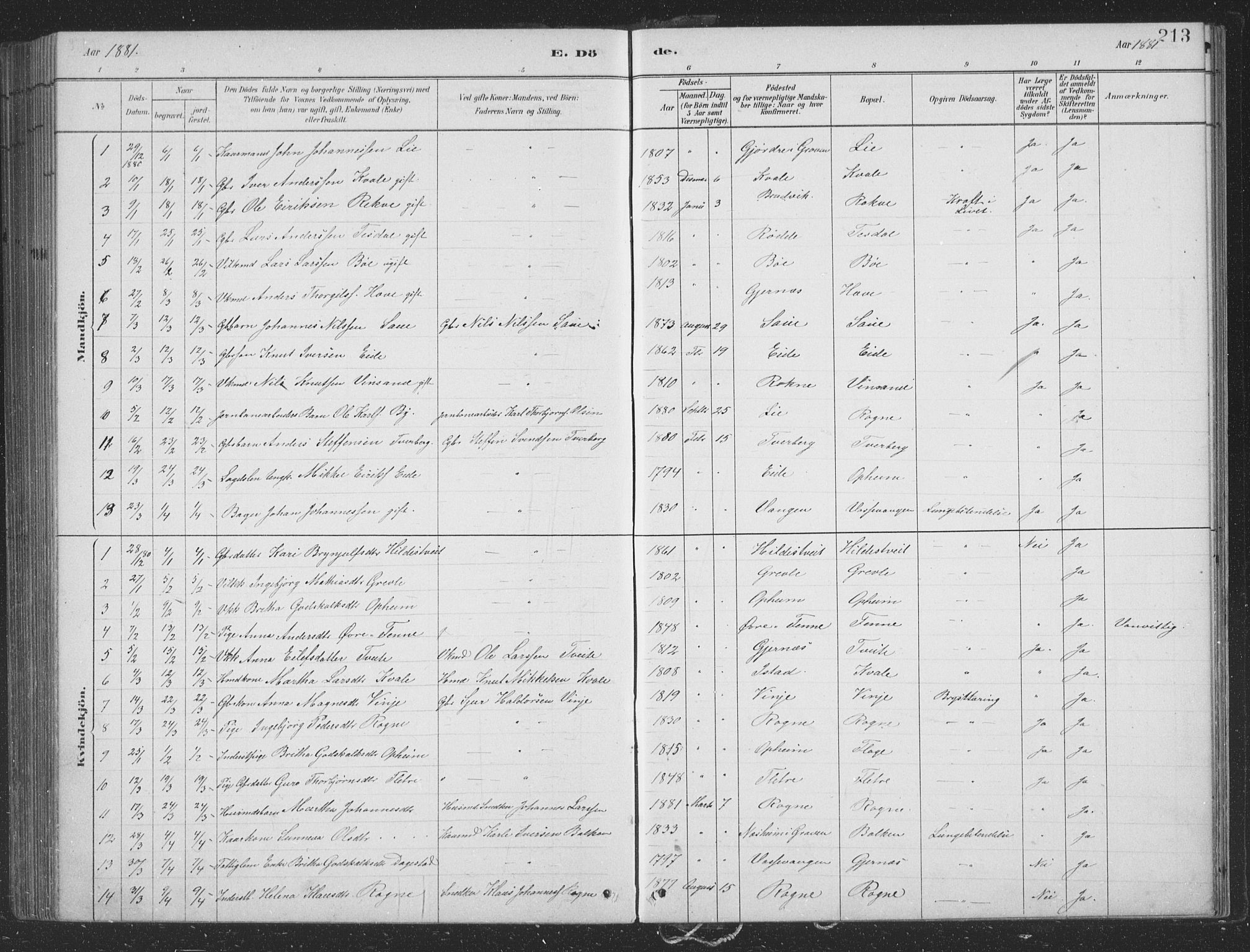 Voss sokneprestembete, SAB/A-79001/H/Hab: Parish register (copy) no. B 3, 1879-1894, p. 213