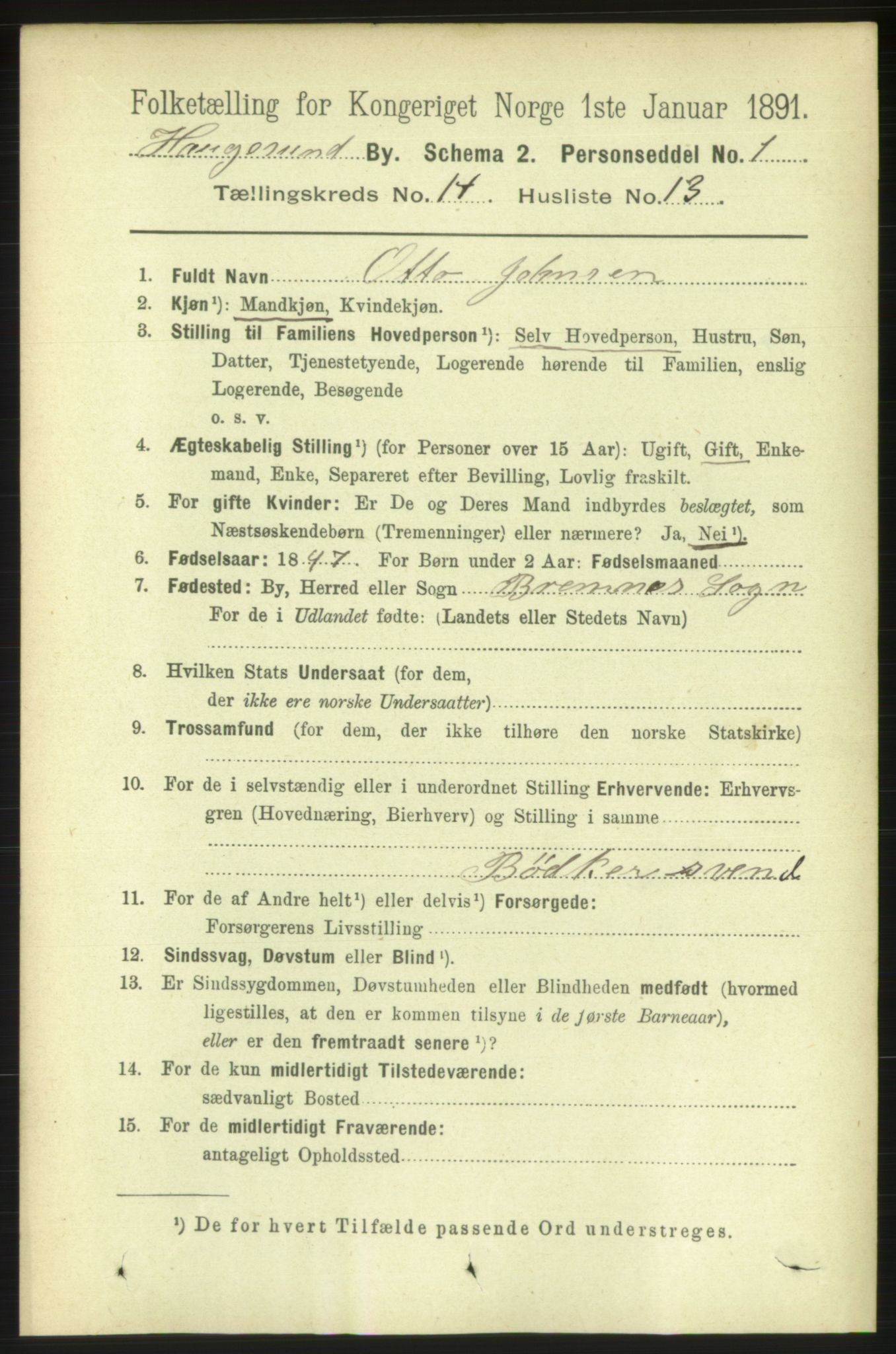 RA, 1891 census for 1106 Haugesund, 1891, p. 4767