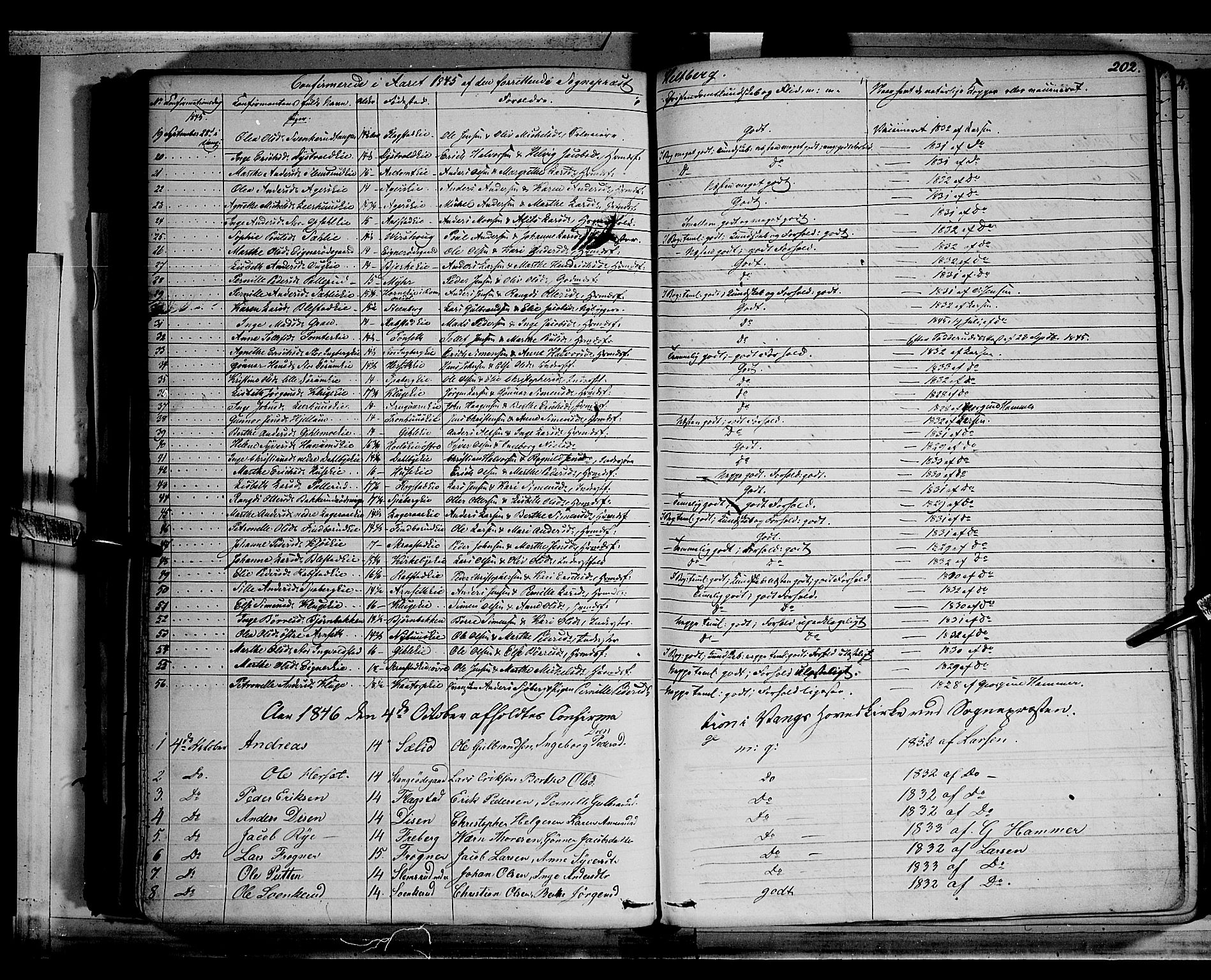 Vang prestekontor, Hedmark, SAH/PREST-008/H/Ha/Haa/L0010: Parish register (official) no. 10, 1841-1855, p. 202
