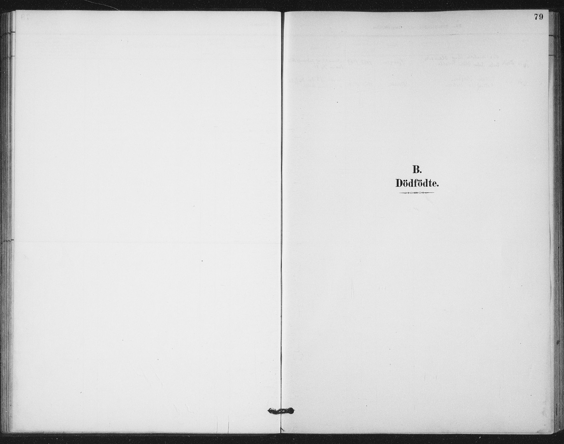 Ministerialprotokoller, klokkerbøker og fødselsregistre - Nord-Trøndelag, AV/SAT-A-1458/772/L0603: Parish register (official) no. 772A01, 1885-1912, p. 79