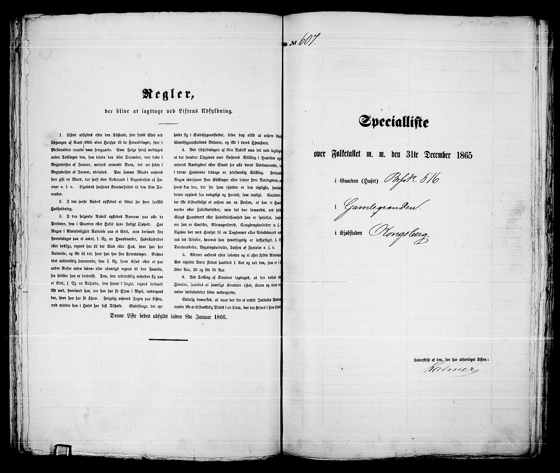 RA, 1865 census for Kongsberg/Kongsberg, 1865, p. 1236