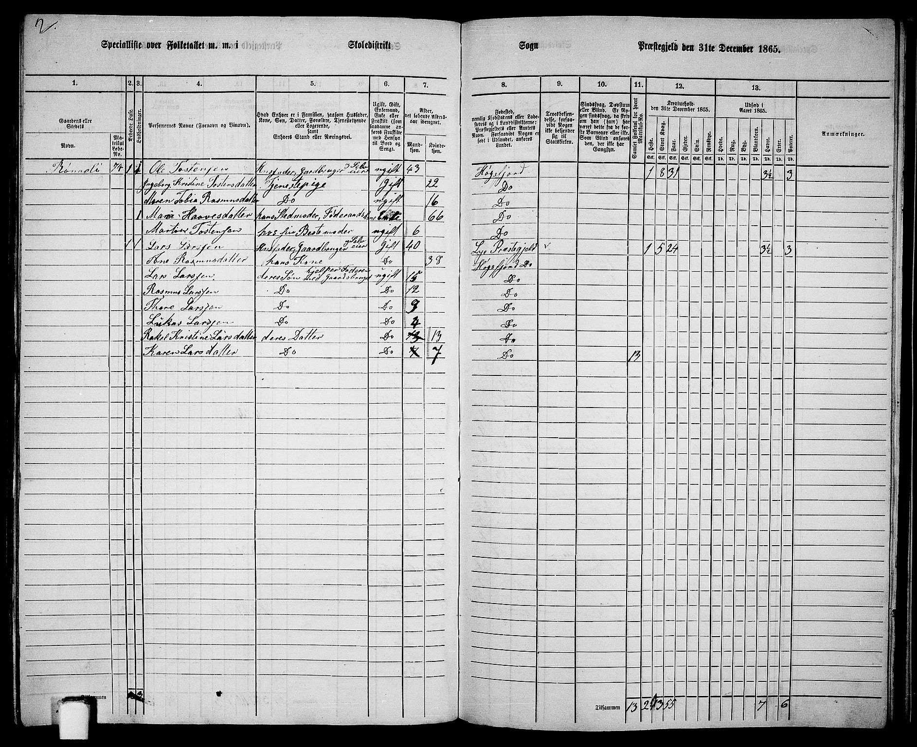 RA, 1865 census for Høgsfjord, 1865, p. 119