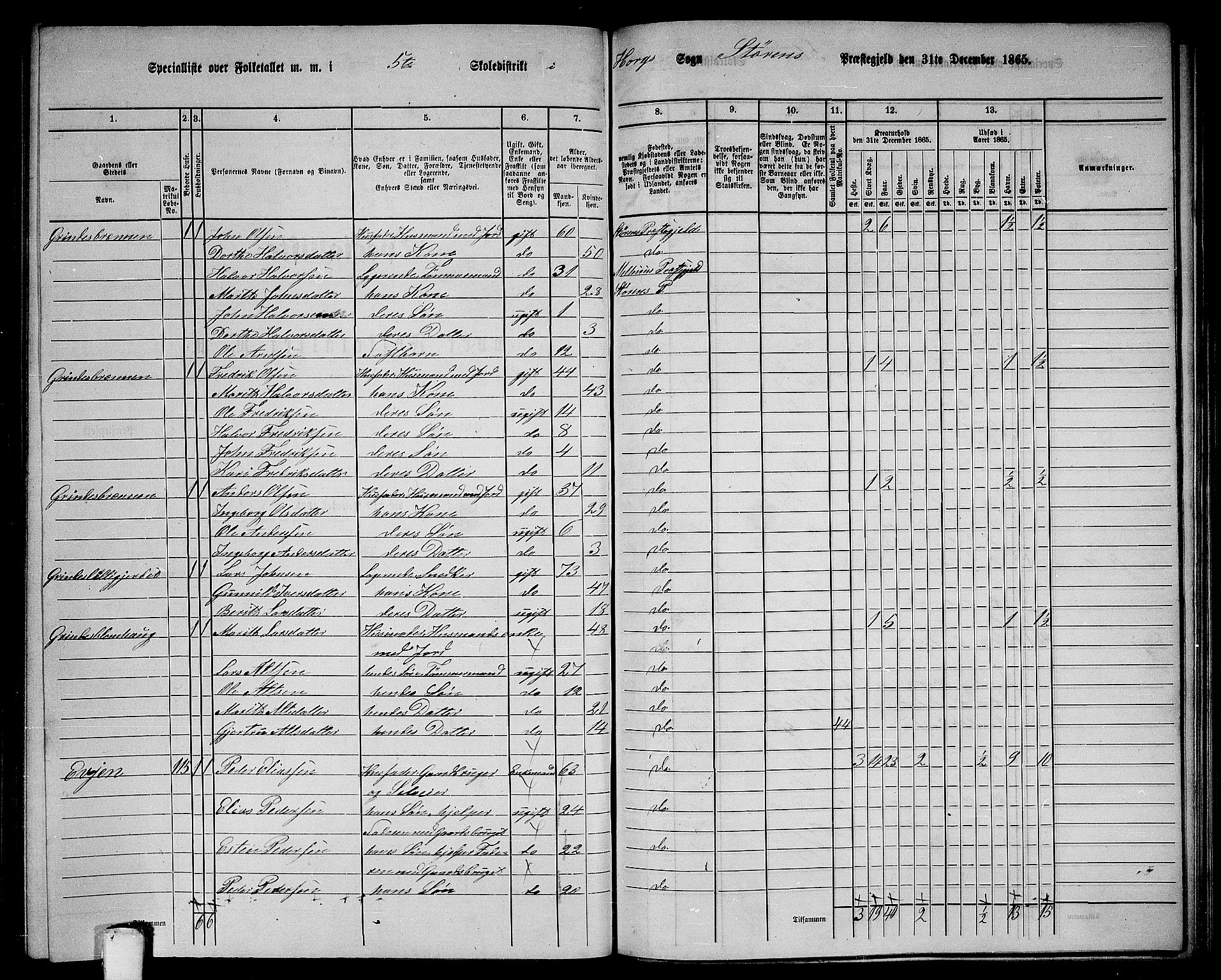 RA, 1865 census for Støren, 1865, p. 197