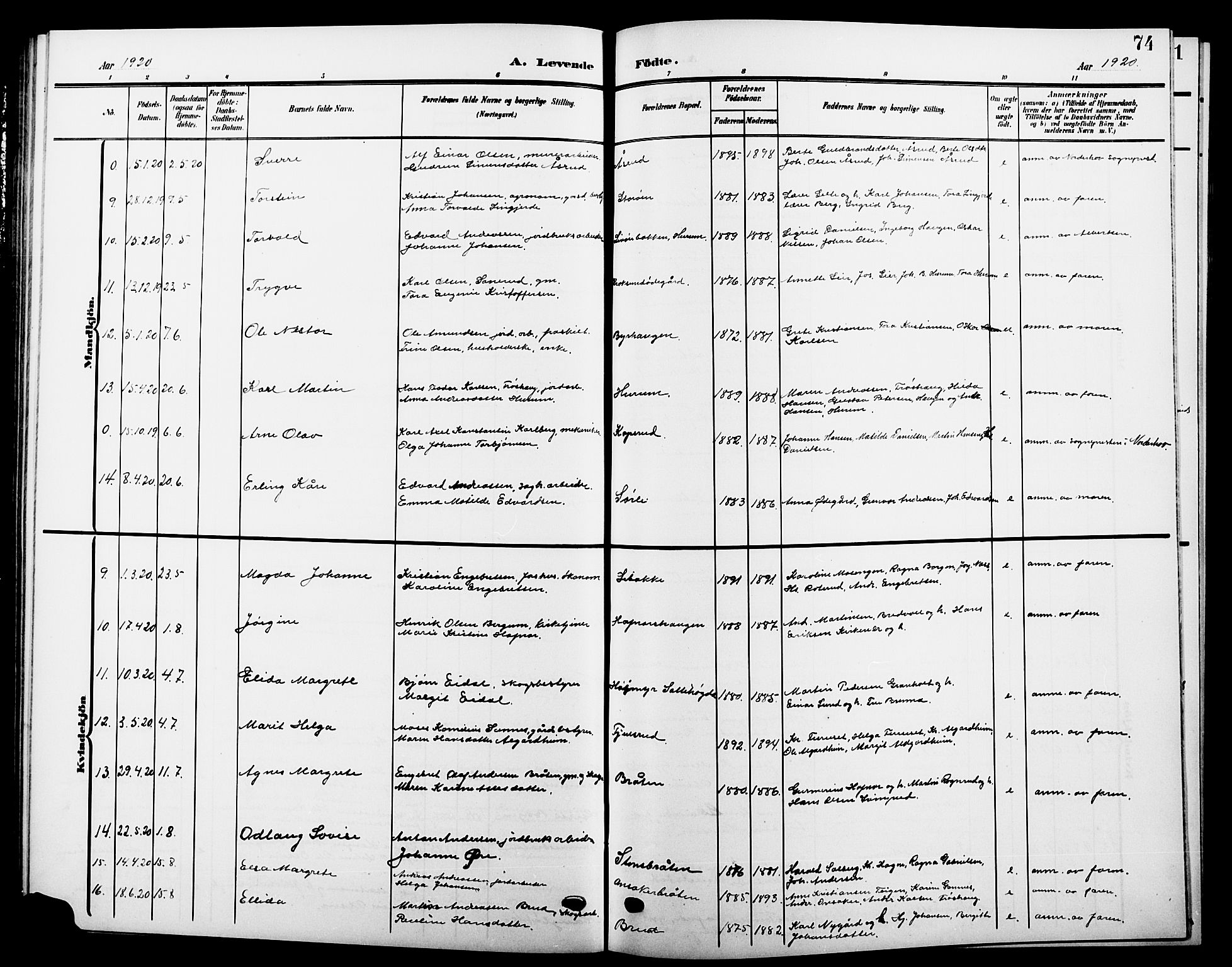 Hole kirkebøker, AV/SAKO-A-228/G/Ga/L0004: Parish register (copy) no. I 4, 1905-1924, p. 74