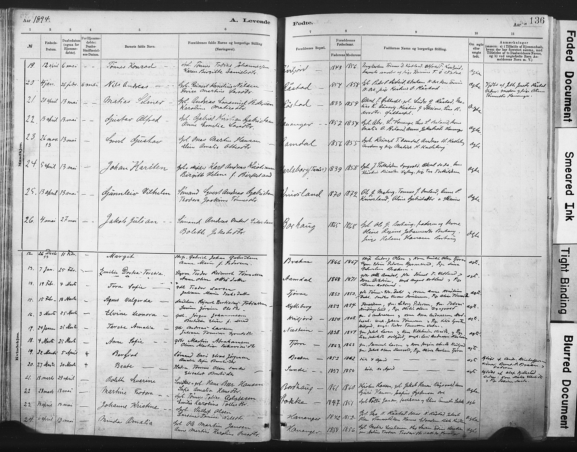 Lista sokneprestkontor, AV/SAK-1111-0027/F/Fa/L0012: Parish register (official) no. A 12, 1879-1903, p. 136