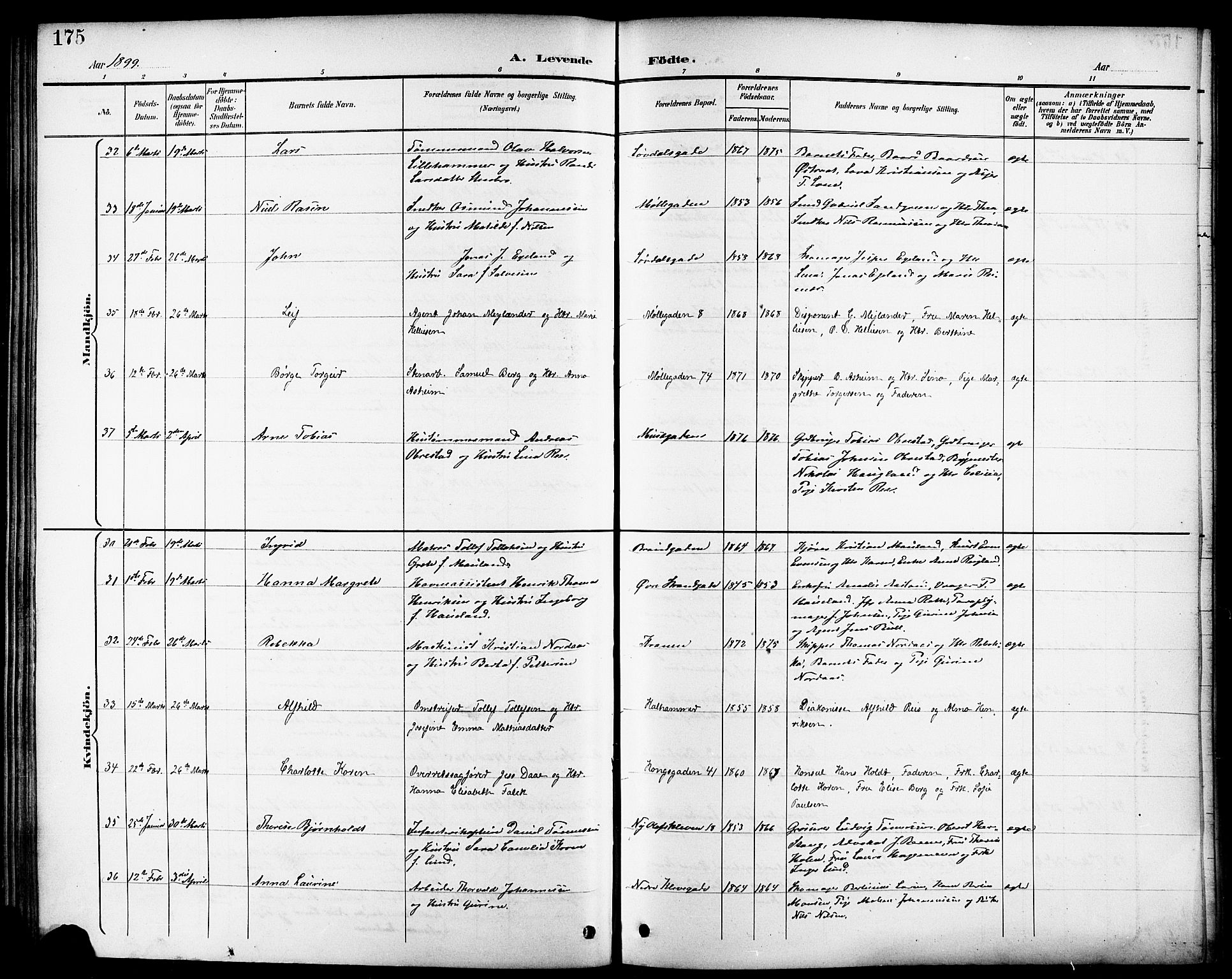 Domkirken sokneprestkontor, AV/SAST-A-101812/001/30/30BB/L0016: Parish register (copy) no. B 16, 1891-1902, p. 175