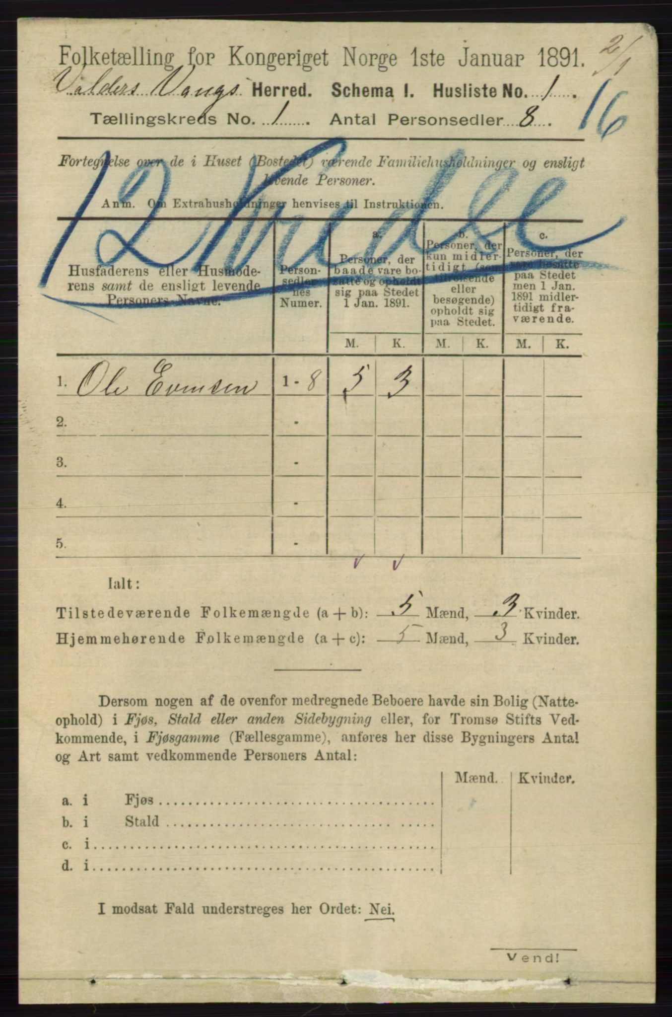 RA, 1891 census for 0545 Vang, 1891, p. 31