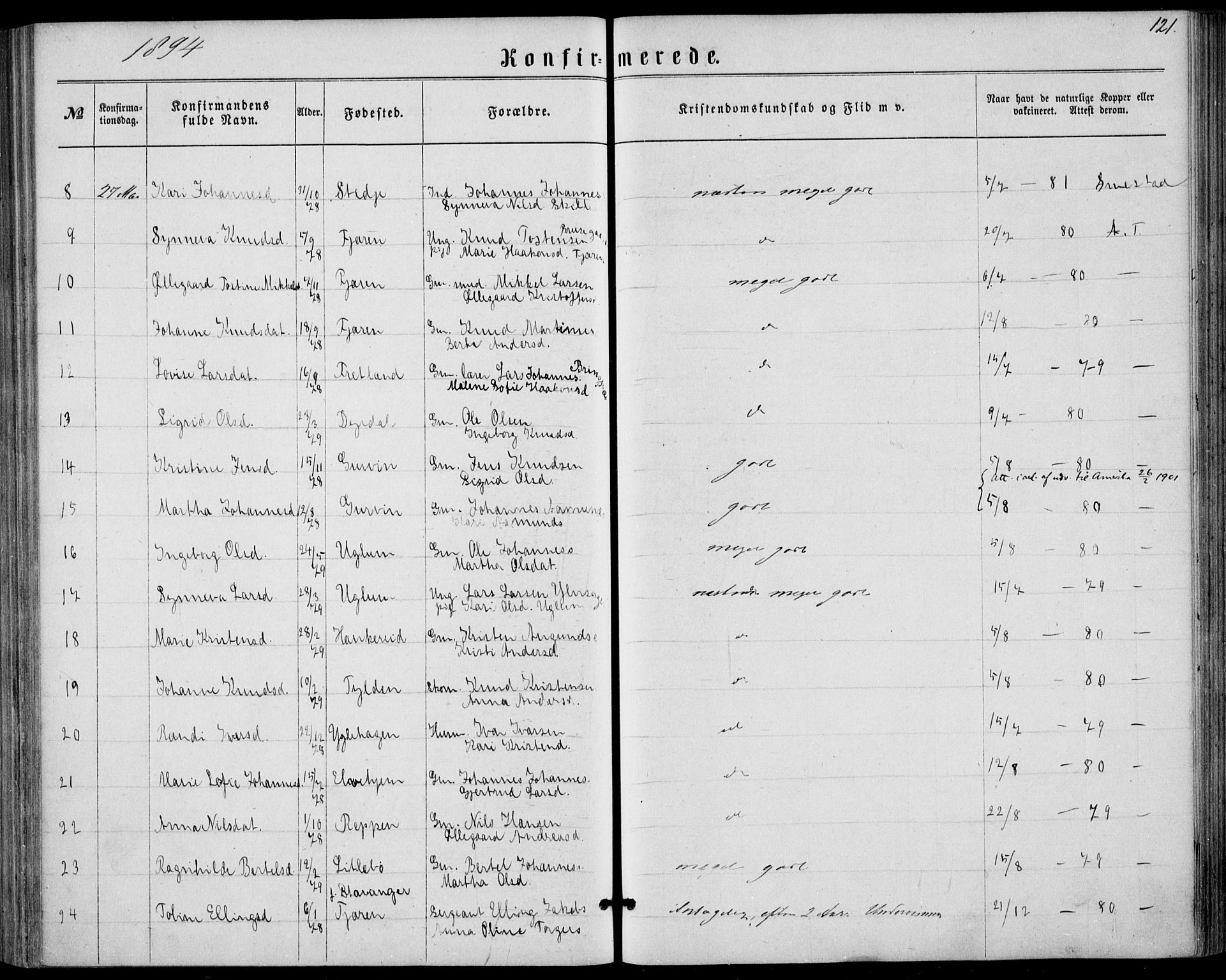 Sogndal sokneprestembete, SAB/A-81301/H/Haa/Haaa/L0015: Parish register (official) no. A 15, 1871-1904, p. 121