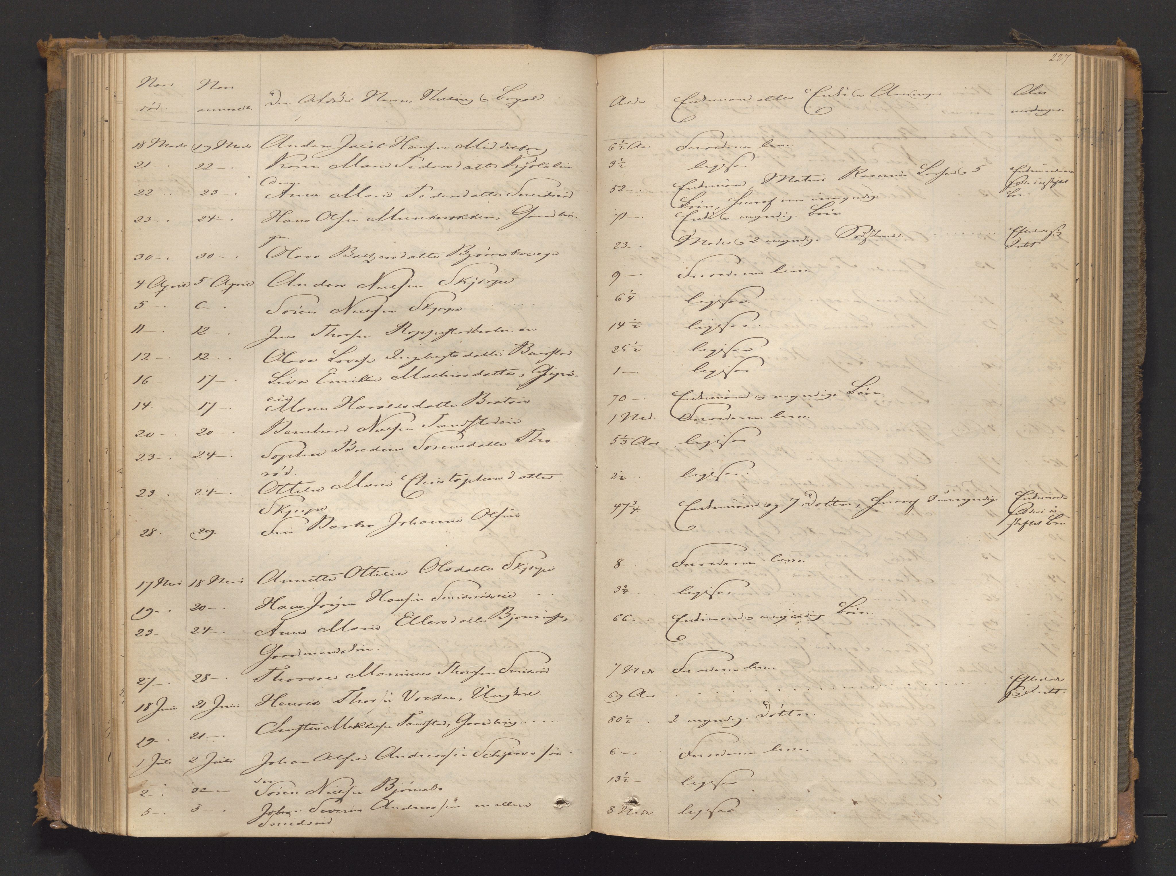Søndre Jarlsberg sorenskriveri, AV/SAKO-A-129/H/Ha/Hab/L0004: Dødsmeldingsprotokoll, 1862-1888, p. 227